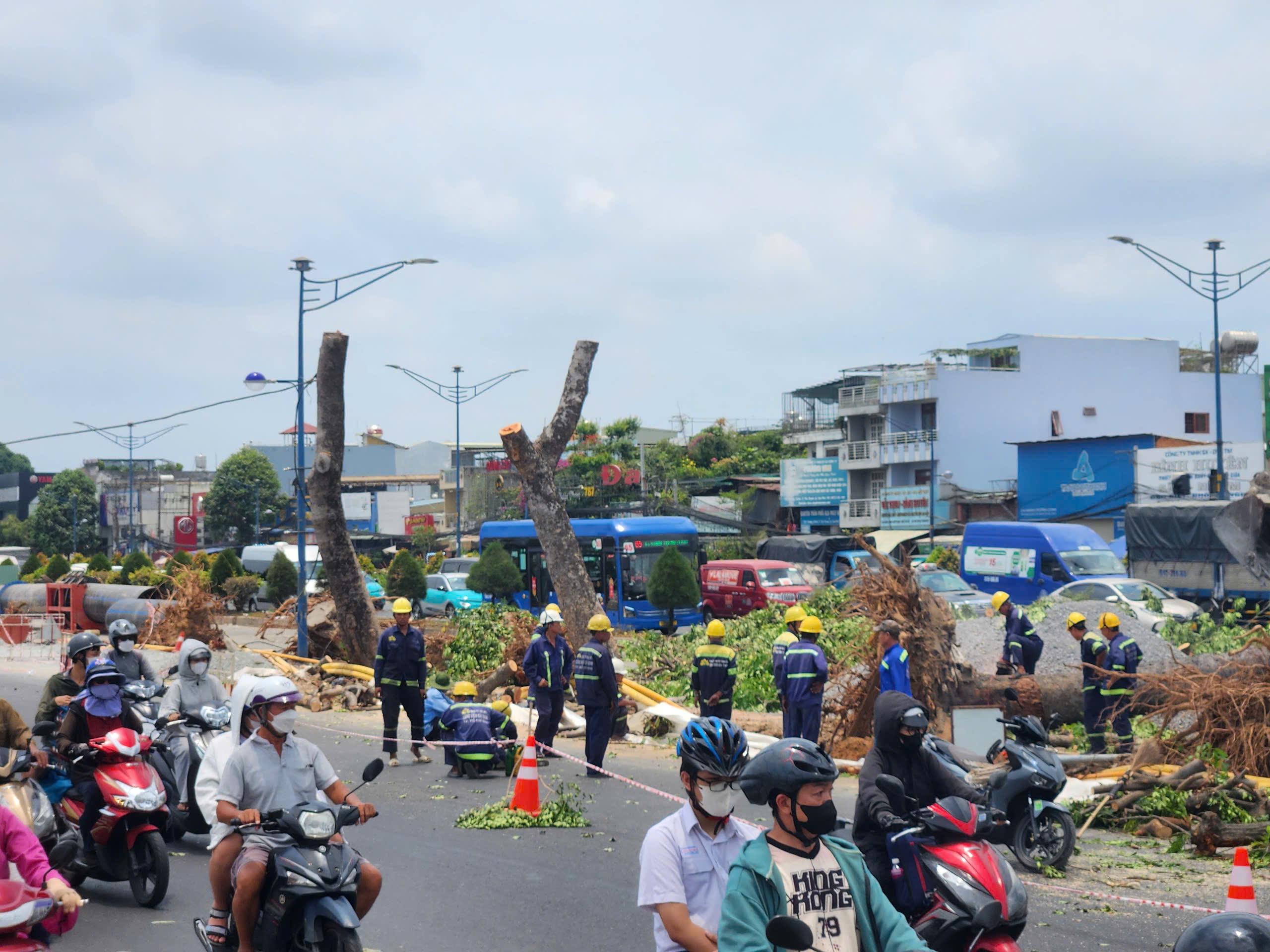 Bắt đầu đốn hạ, di dời cây xanh để làm metro số 2- Ảnh 2. Bắt đầu đốn hạ, di dời cây xanh để làm metro số 2- Ảnh 2.