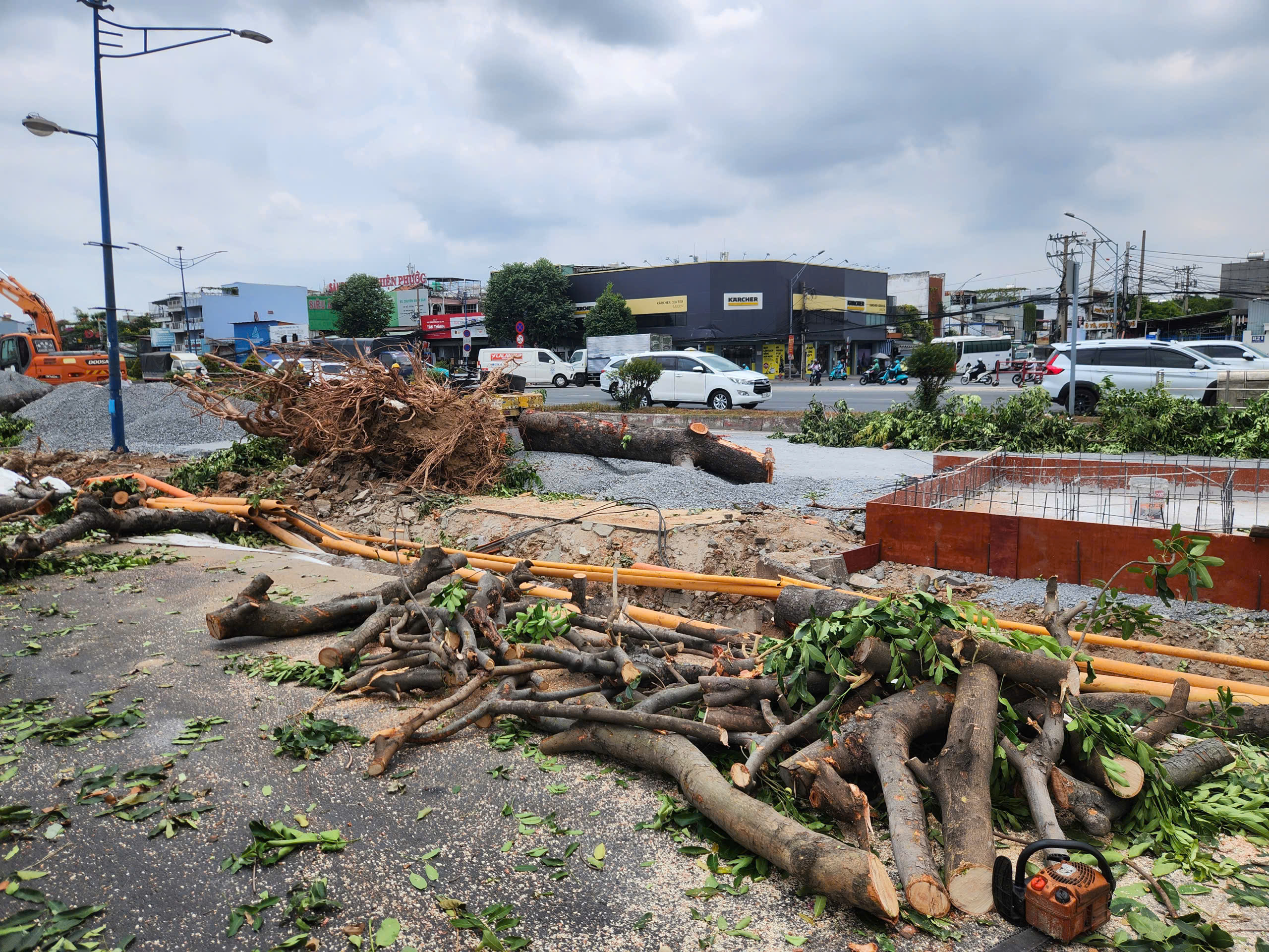 Bắt đầu đốn hạ, di dời cây xanh để làm metro số 2- Ảnh 1. Bắt đầu đốn hạ, di dời cây xanh để làm metro số 2- Ảnh 1.