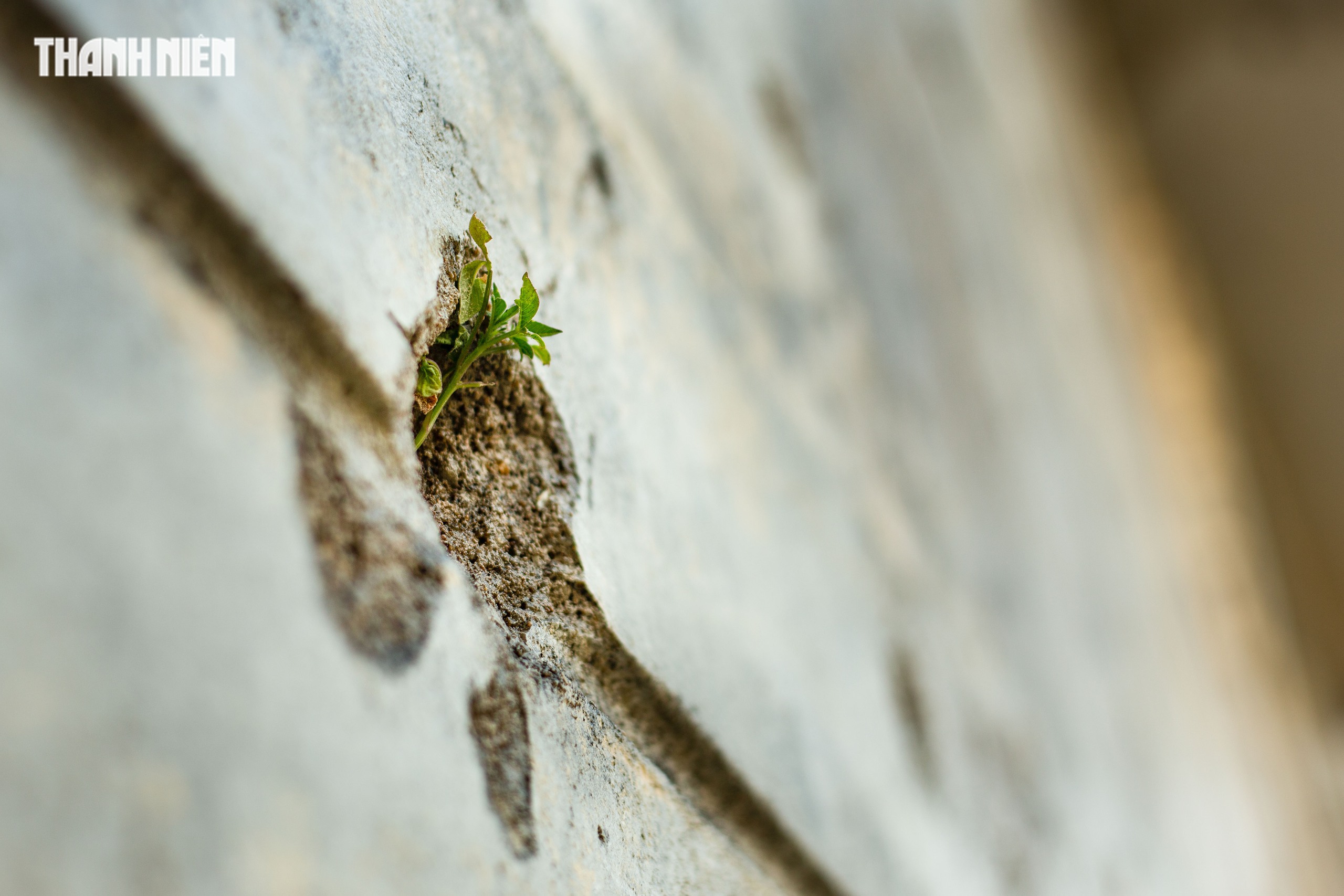 Kh&aacute;m ph&aacute; nh&agrave; thờ C&ocirc;ng gi&aacute;o gắn liền với 81 ng&agrave;y đ&ecirc;m tại Quảng Trị - Ảnh 8.