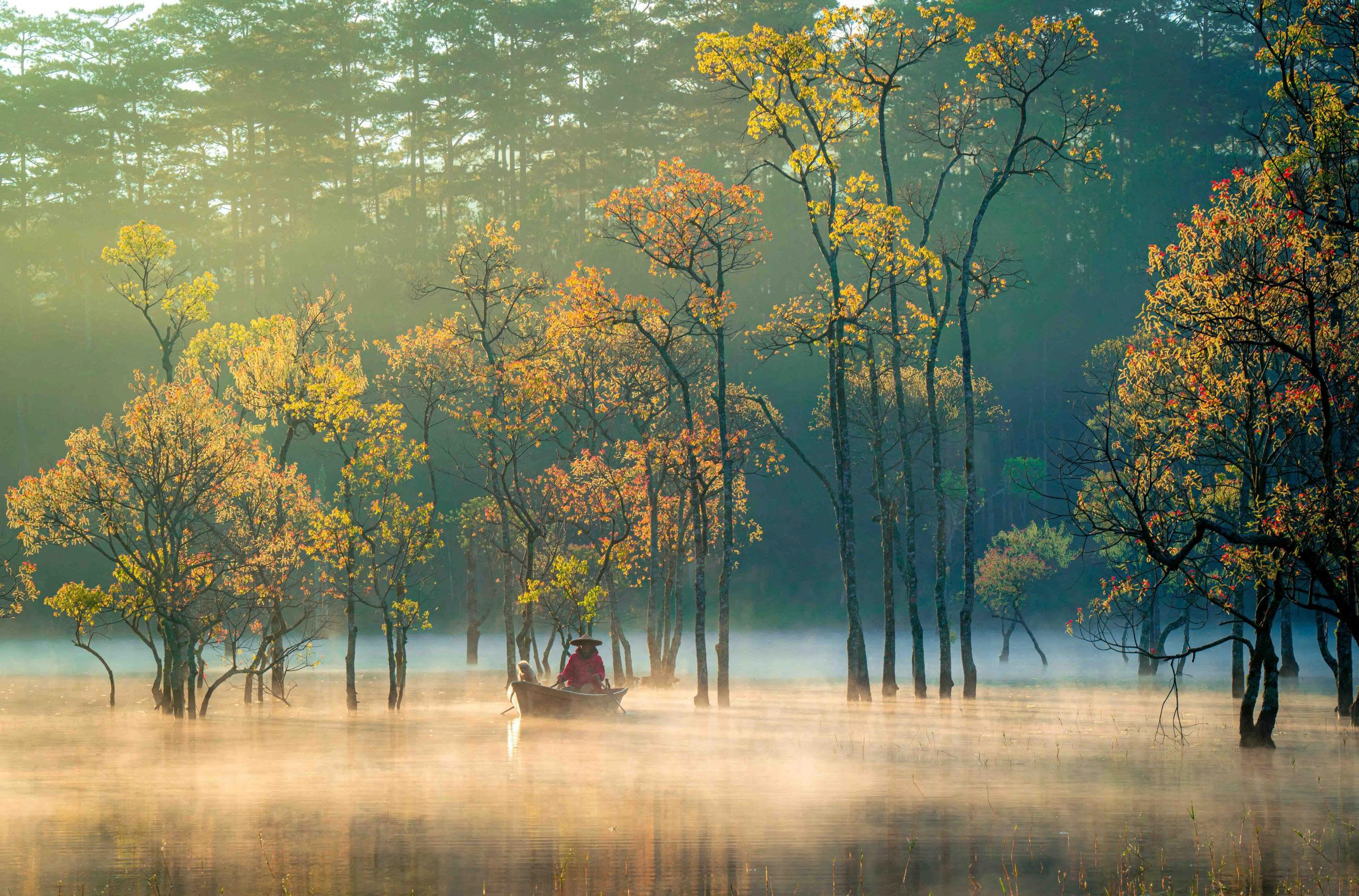 Việt Nam - điểm đến an toàn cho du lịch một mình năm 2026 - Ảnh 2.