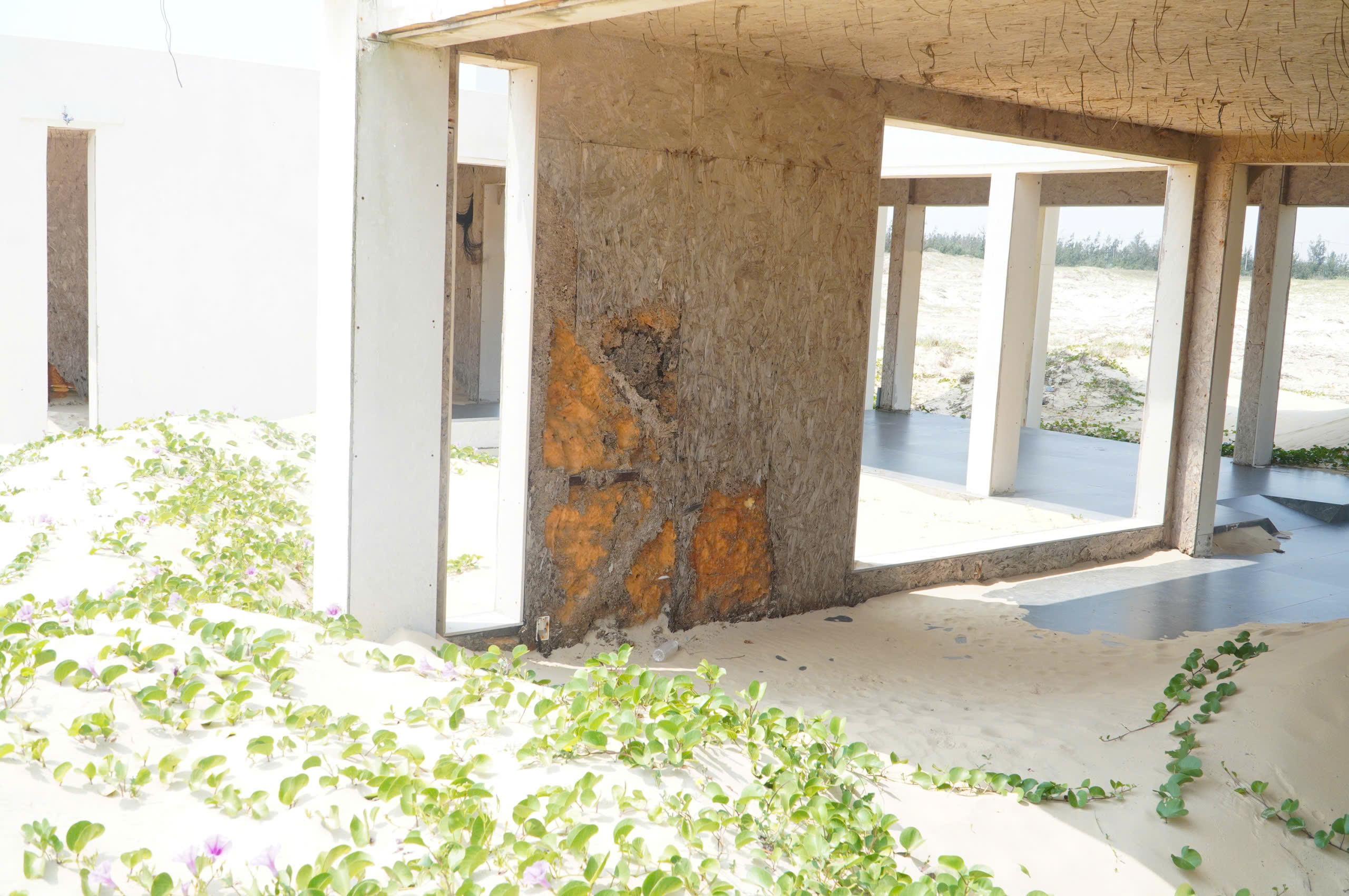 Hai dự án nghỉ dưỡng nghìn tỉ 'ngủ quên' bên Quy Nhơn- Ảnh 11.