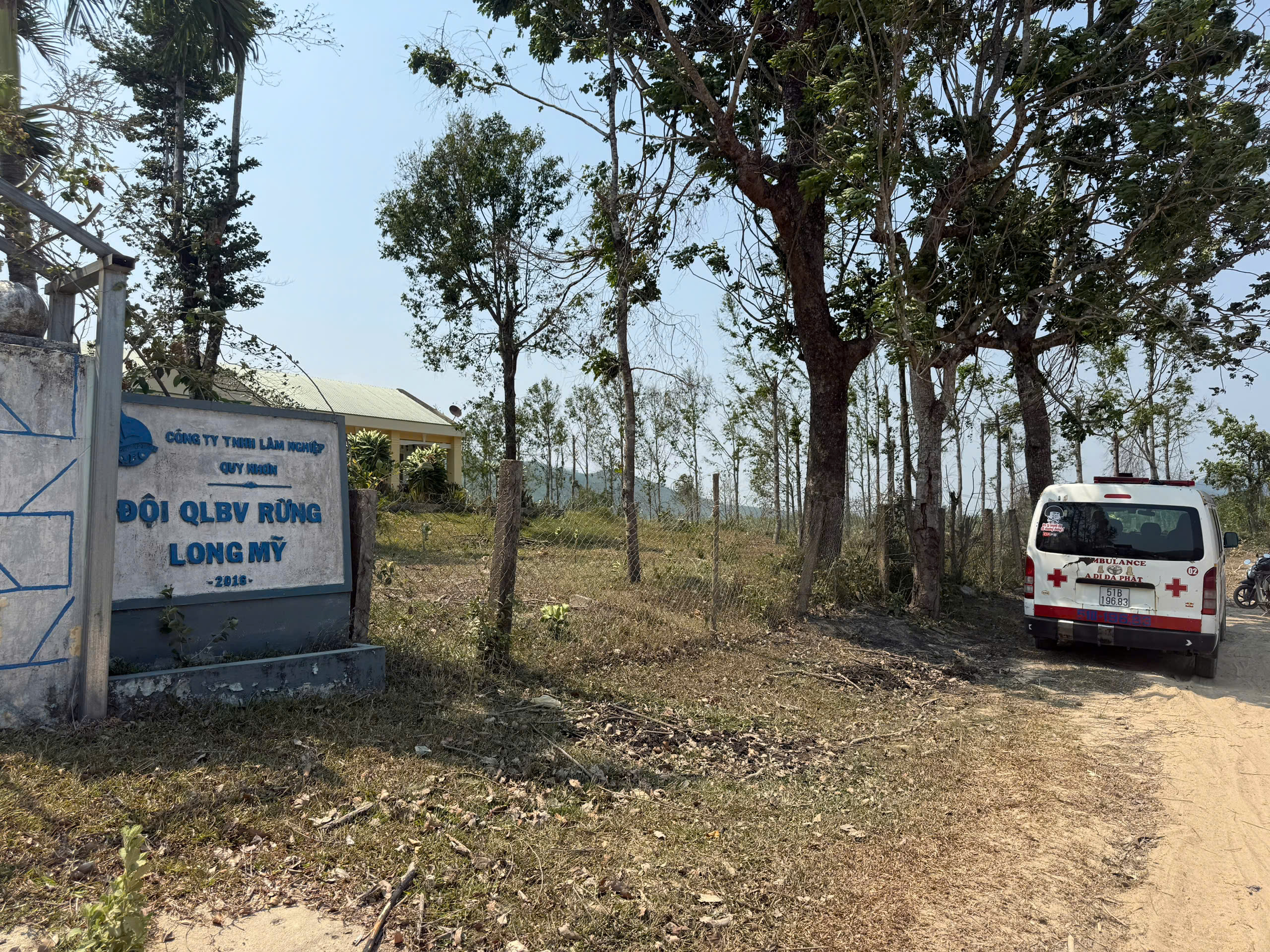 Ong tấn công tổ kiểm tra rừng, 1 người tử vong, 4 người cấp cứu - Ảnh 1.