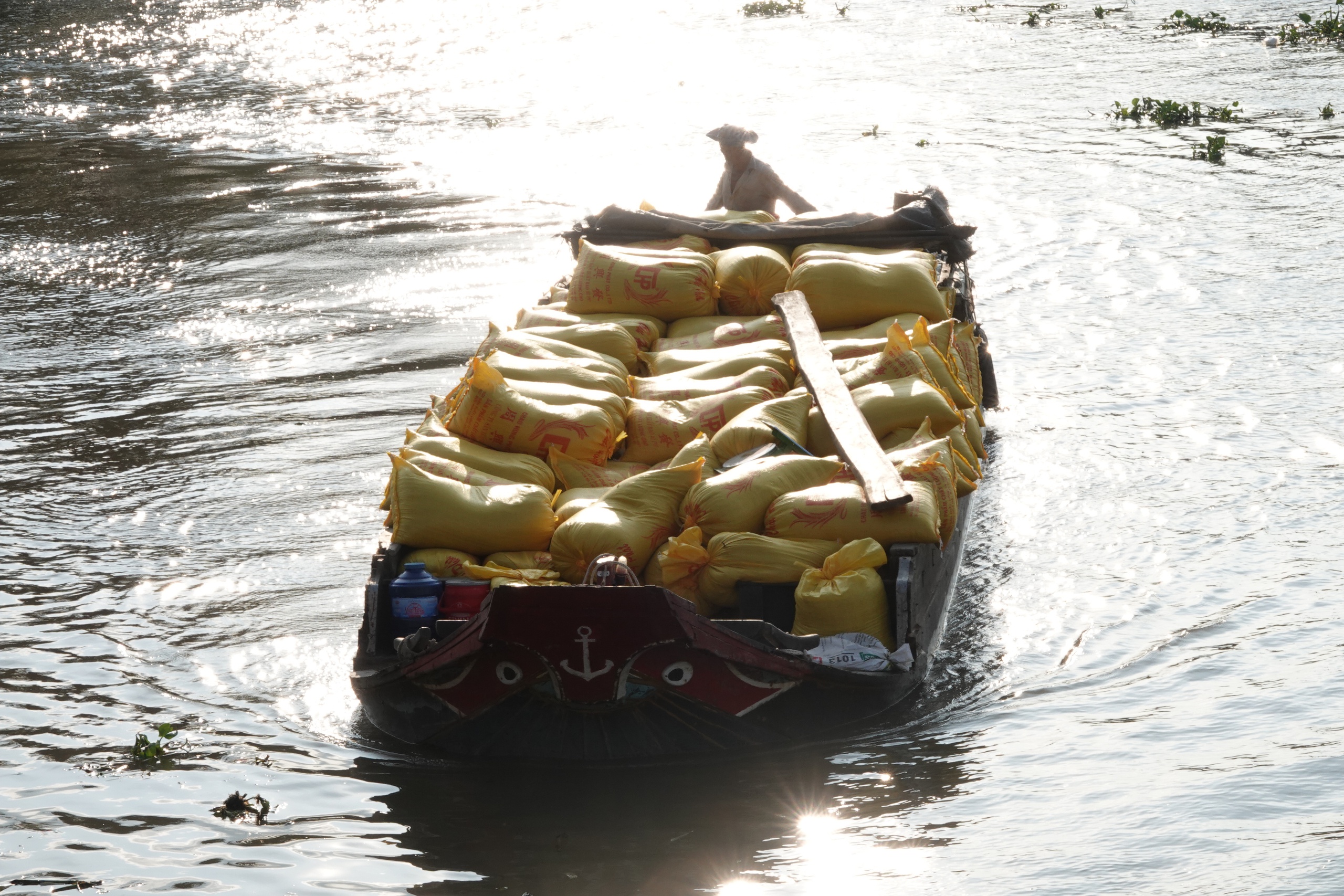 Đội nắng v&aacute;c l&uacute;a m&ugrave;a gặt, lao động miền T&acirc;y 'ai mệt th&igrave; anh em đỡ cho'- Ảnh 10.