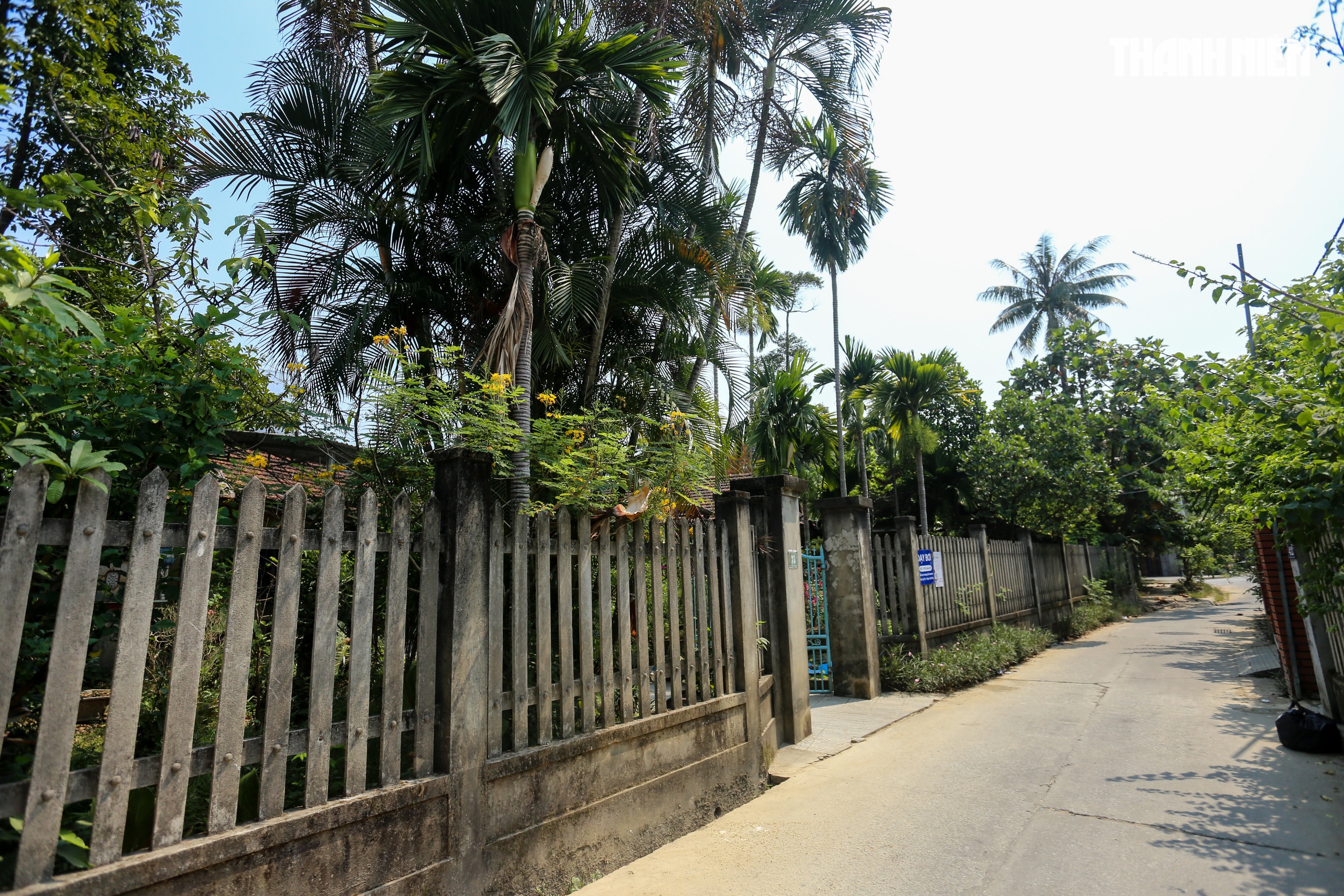 Thôn Vỹ Dạ trong thơ Hàn Mặc Tử bây giờ ra sao?- Ảnh 5. Thôn Vỹ Dạ trong thơ Hàn Mặc Tử bây giờ ra sao?- Ảnh 5.