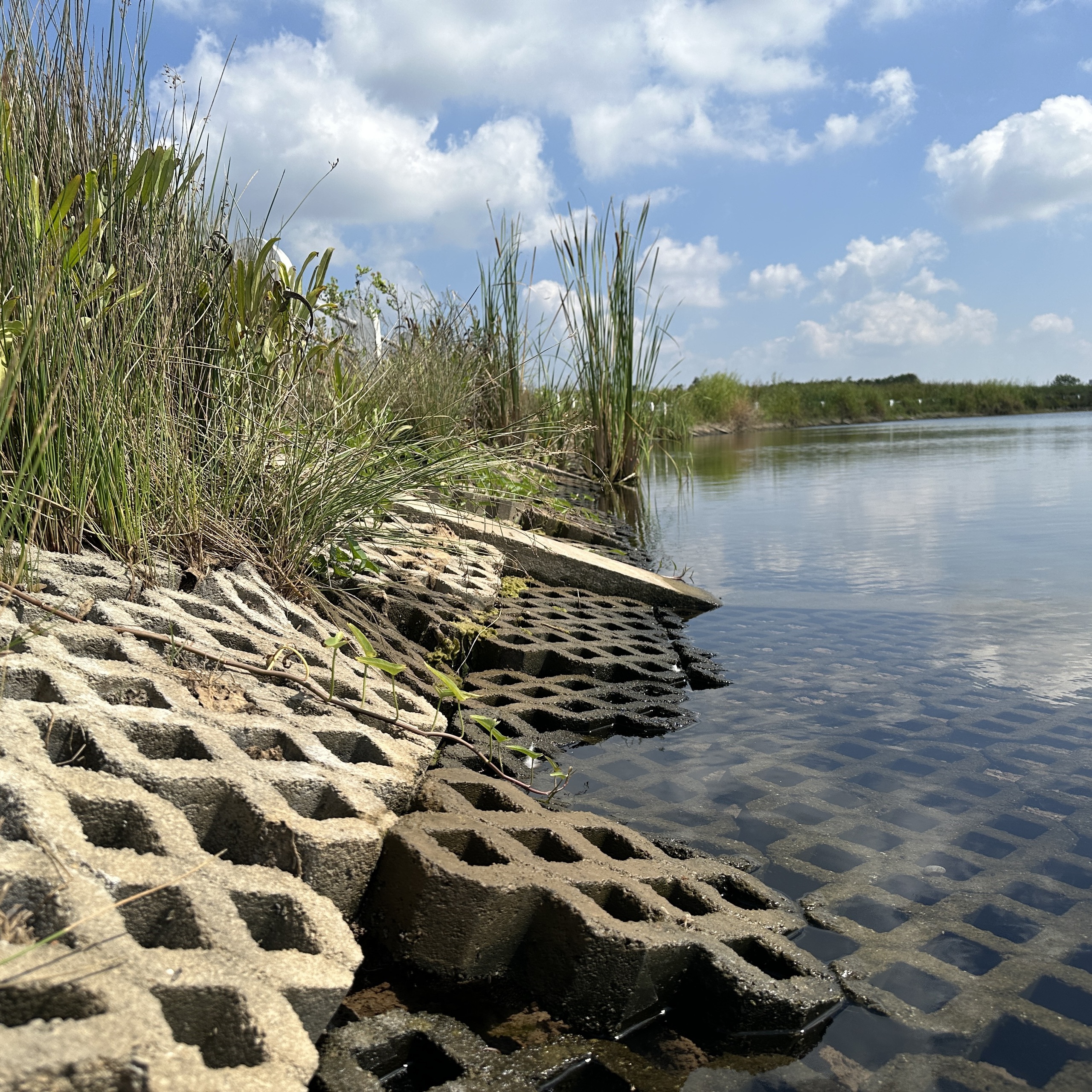 Hồ chứa nước ngọt gần 250 tỉ đồng, hoàn thành 2 năm nhưng để không- Ảnh 1.