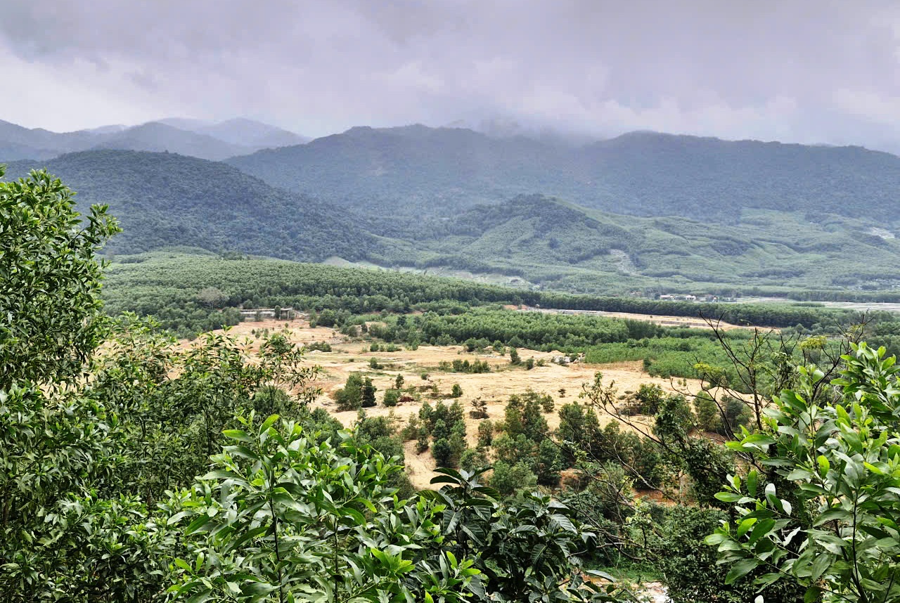 Dự &aacute;n 291 tỉ đồng bất động 8 năm g&acirc;y l&atilde;ng ph&iacute; đầu tư tại Đ&agrave; Nẵng - Ảnh 1.