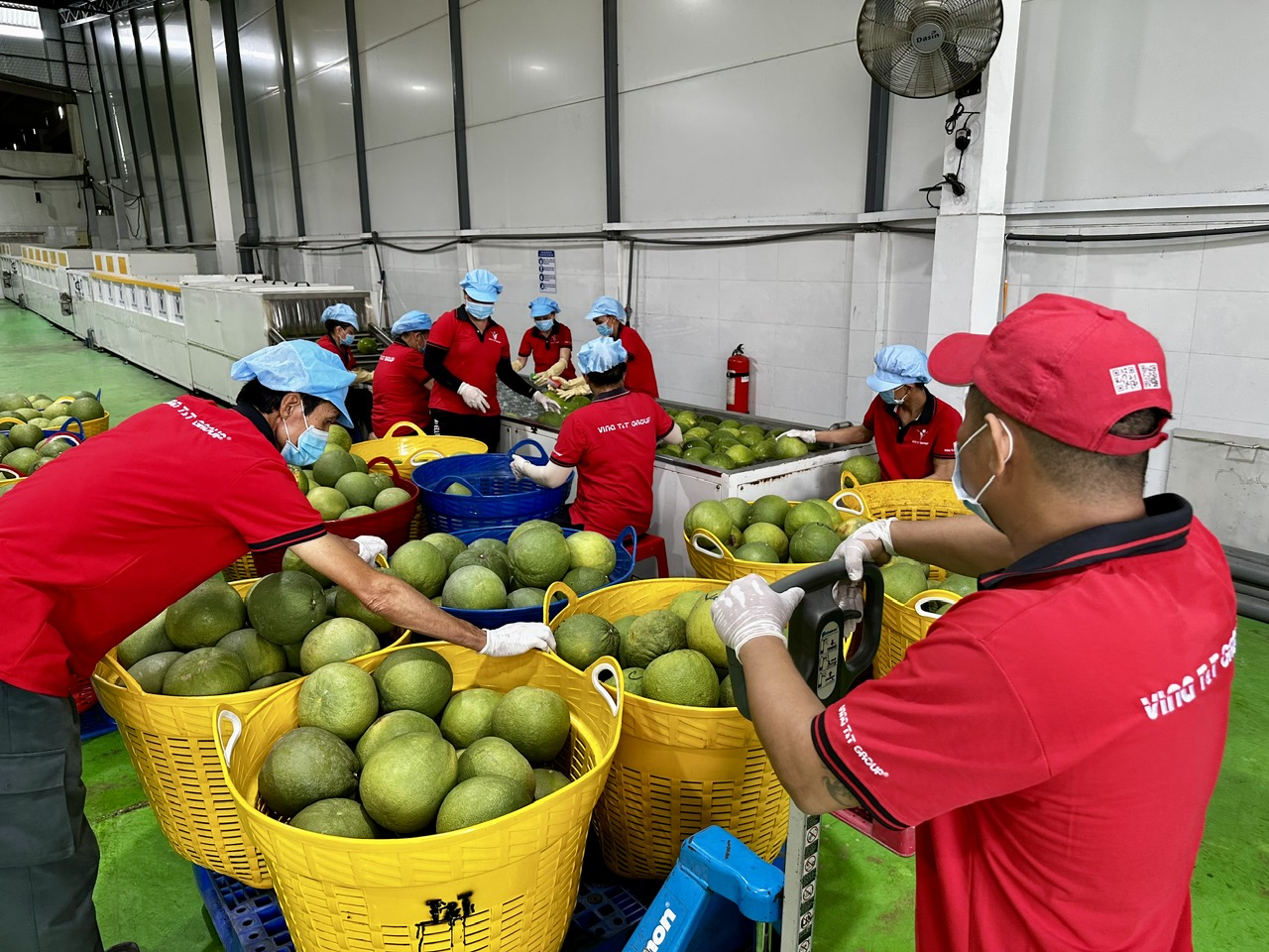 Xuất khẩu rau quả sang Trung Quốc sẽ tăng mạnh- Ảnh 1.