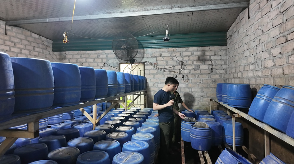 Giá đỗ dùng chất cấm bị phanh phui  - Ảnh 3.