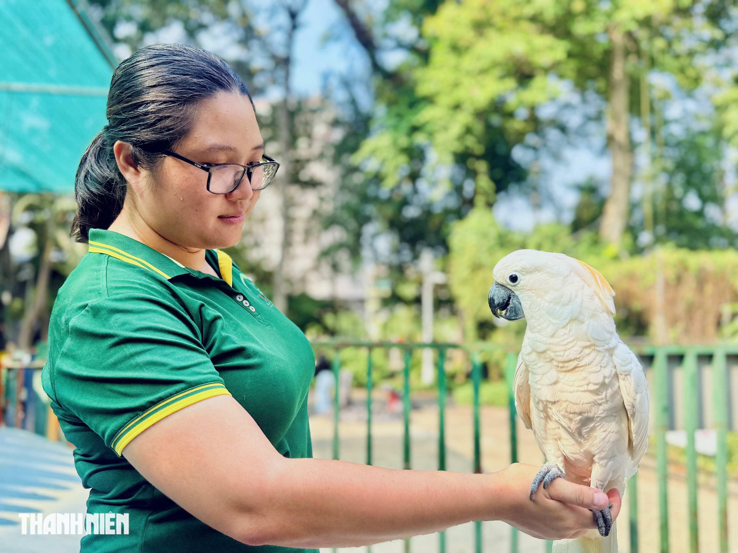 Con vẹt biết ghen, voọc trong Sách đỏ nhõng nhẽo như em bé Thảo Cầm Viên - Ảnh 10.