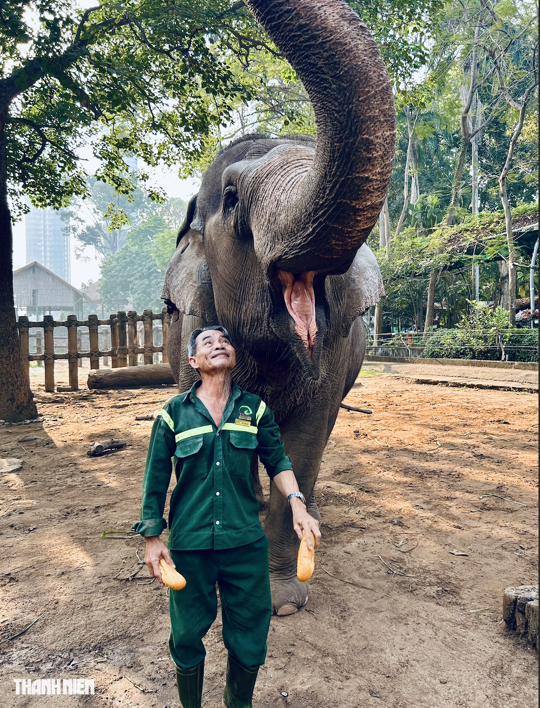 B&iacute; ẩn sau chuồng voi v&agrave; người đ&agrave;n &ocirc;ng gắn b&oacute; 40 năm ở Thảo Cầm Vi&ecirc;n - Ảnh 7.