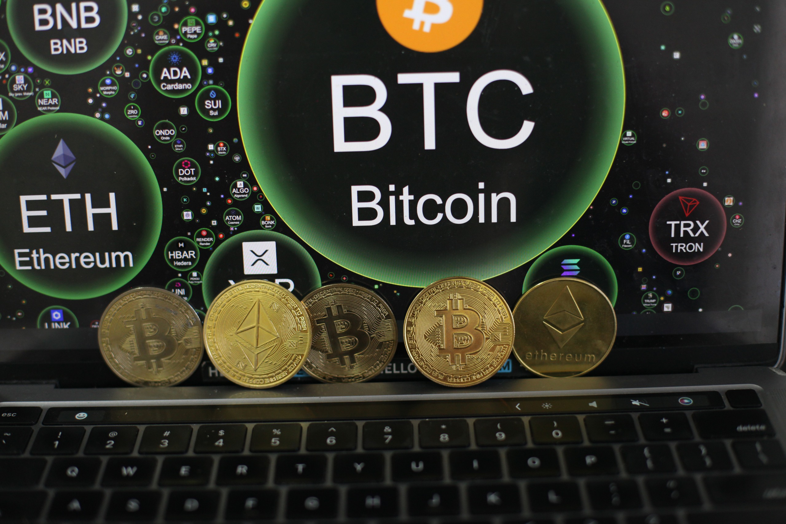 Giá Bitcoin hôm nay 17.4: BTC quay về mốc 74.000 USD  - Ảnh 1.