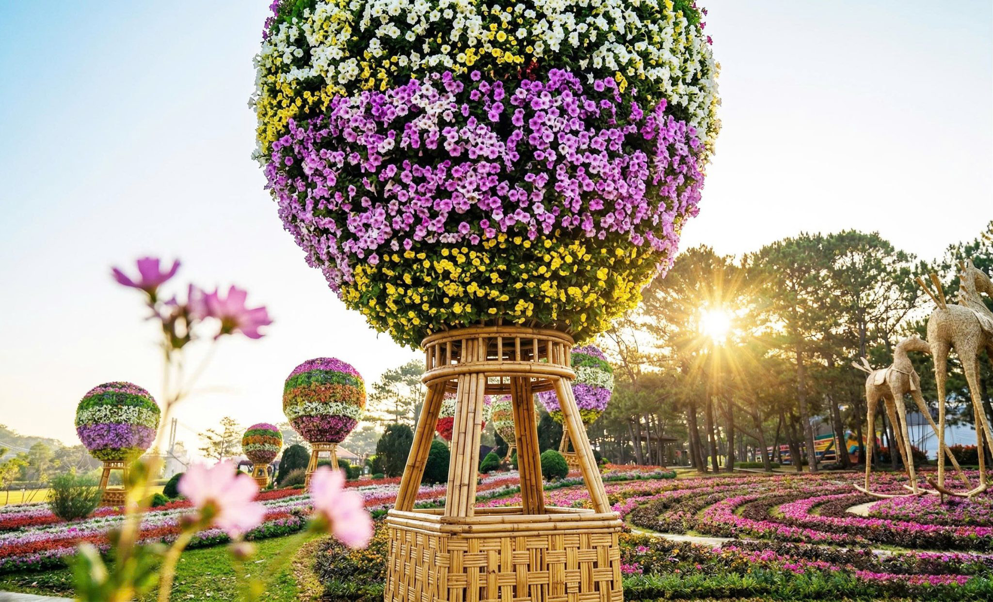 Hành trình Việt - Trải nghiệm để yêu thêm Việt Nam cùng TTC Hospitality - Ảnh 3.