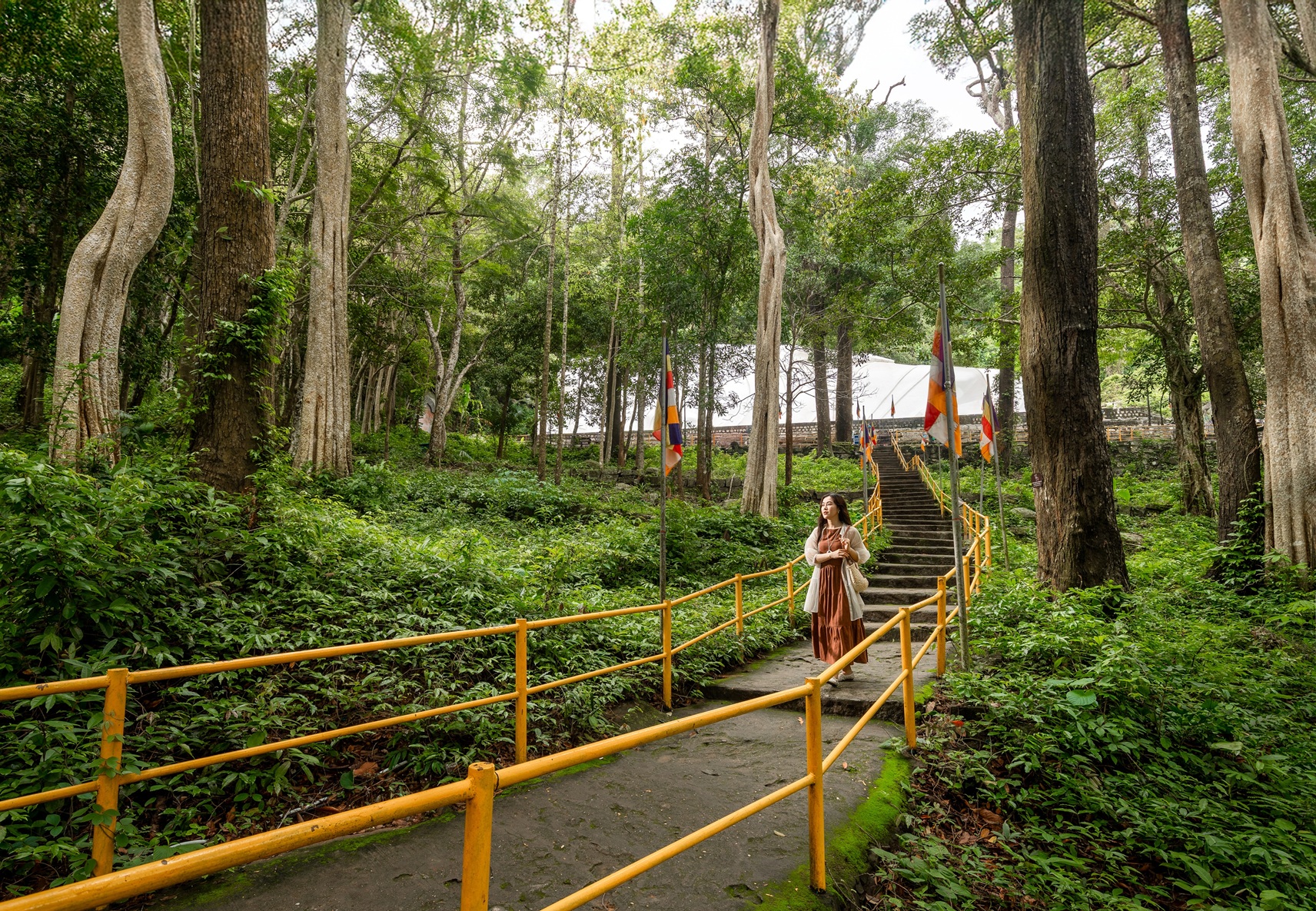 Hành trình Việt - Trải nghiệm để yêu thêm Việt Nam cùng TTC Hospitality - Ảnh 4.