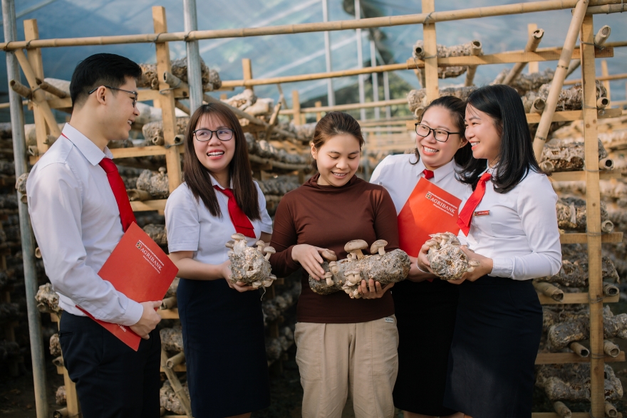 Agribank đồng hành cùng hộ kinh doanh: Chuyển đổi doanh nghiệp - kê khai thuế dễ dàng - Ảnh 3.