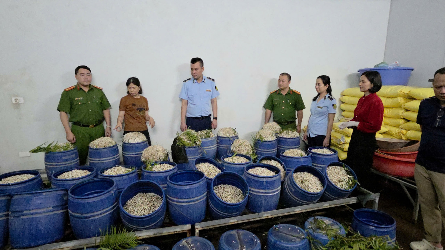 Khởi tố 2 bị can dùng chất cấm sản xuất giá đỗ ở Quảng Ninh- Ảnh 2.