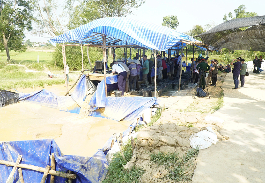 Tìm người từng ở bên kia chiến tuyến: 'Chúng ta sẽ chưa dừng lại!'- Ảnh 1.