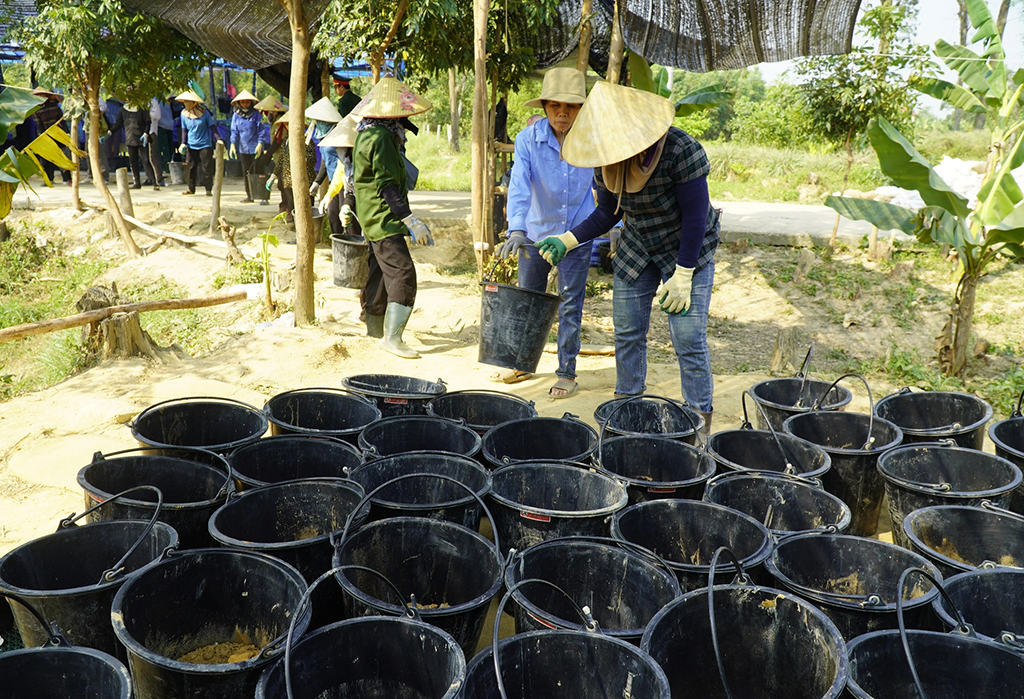 Tìm người từng ở bên kia chiến tuyến: 'Chúng ta sẽ chưa dừng lại!'- Ảnh 3.