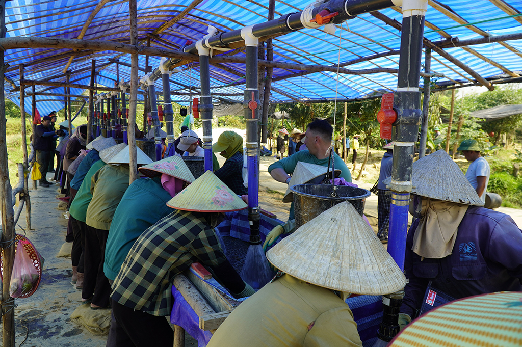 Tìm người từng ở bên kia chiến tuyến: 'Chúng ta sẽ chưa dừng lại!'- Ảnh 5.