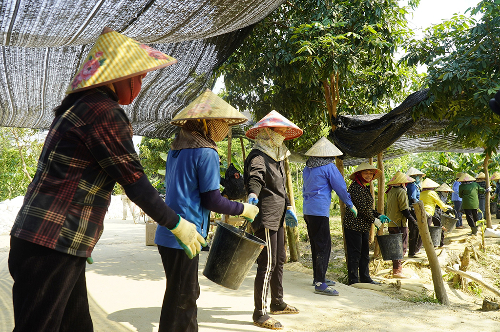 Tìm người từng ở bên kia chiến tuyến: 'Chúng ta sẽ chưa dừng lại!'- Ảnh 10.