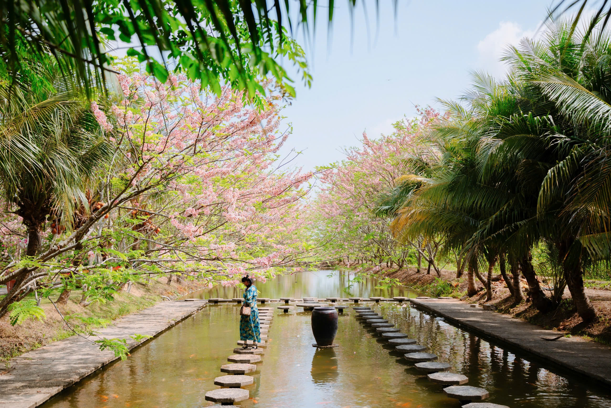 Về Sa Đ&eacute;c ngắm vườn muồng hoa đ&agrave;o, l&ecirc;n ảnh đẹp lung linh - Ảnh 3.