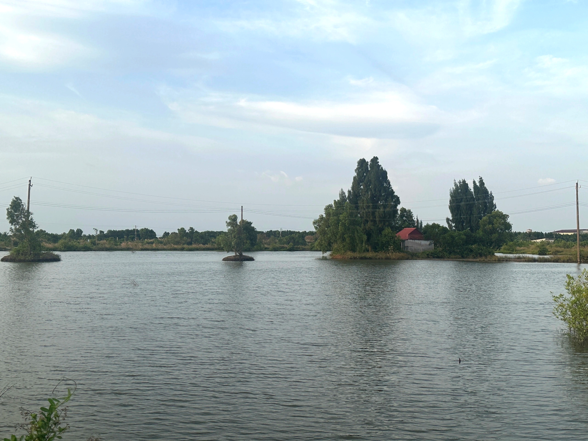 Ngân hàng đất 11 ha ở Cà Mau sau 8 năm vẫn 'treo' vì vướng cơ chế    - Ảnh 1.