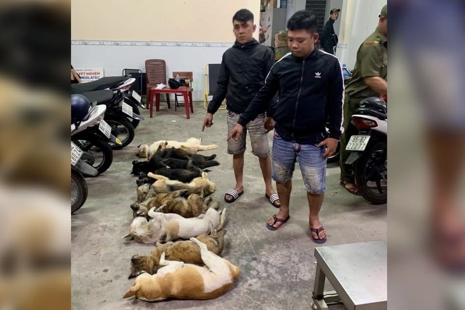 Bắt 2 nghi phạm trộm chó mang súng tự chế và kích điện- Ảnh 1.