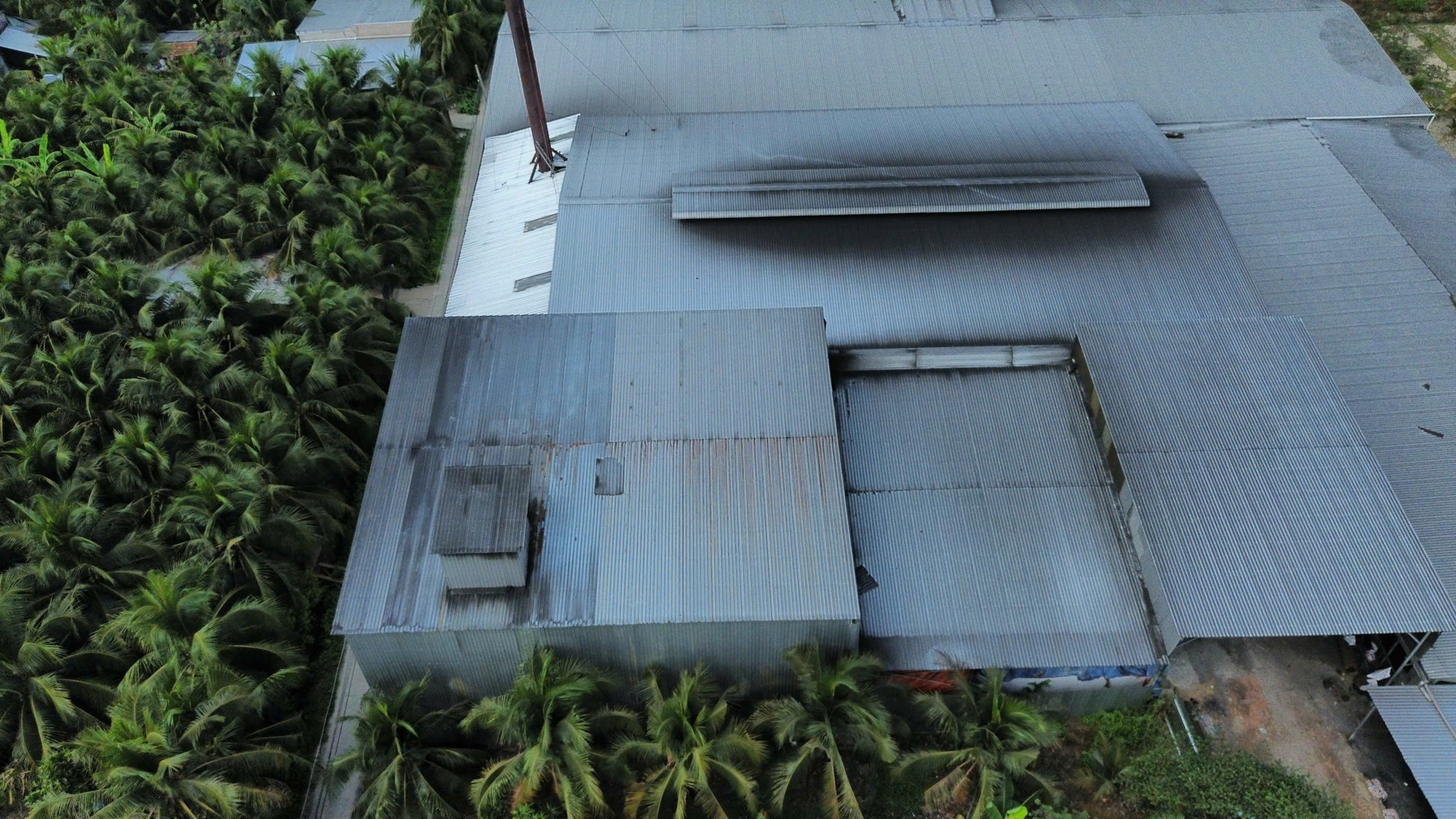 Xưởng sản xuất than gáo dừa gây ô nhiễm ở Vĩnh Long khiến dân khốn khổ nhiều năm - Ảnh 3.