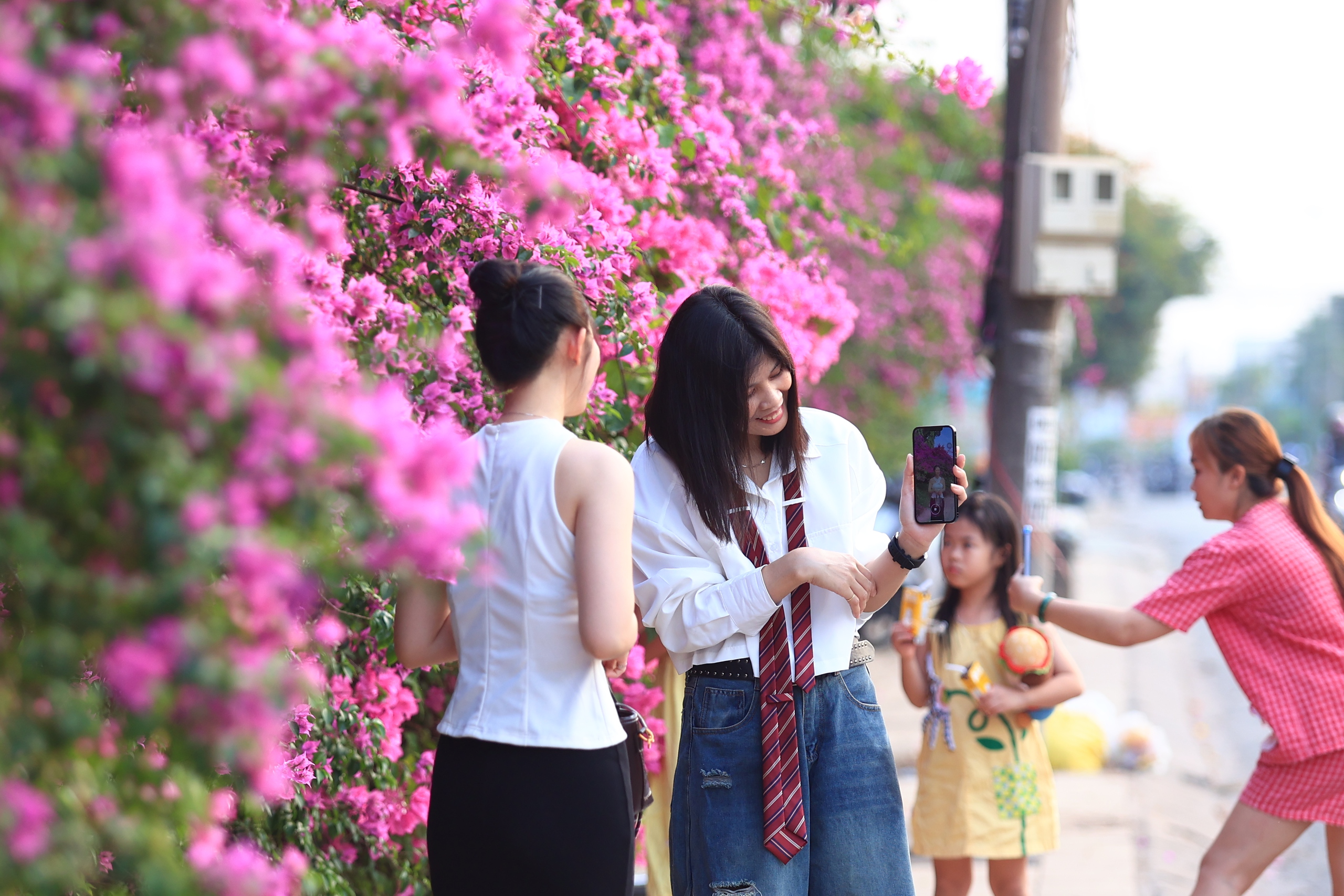 Bụi hoa giấy d&agrave;i gần 100 m ở TP . HCM rực rỡ như th&aacute;c hoa khổng lồ - Ảnh 7.