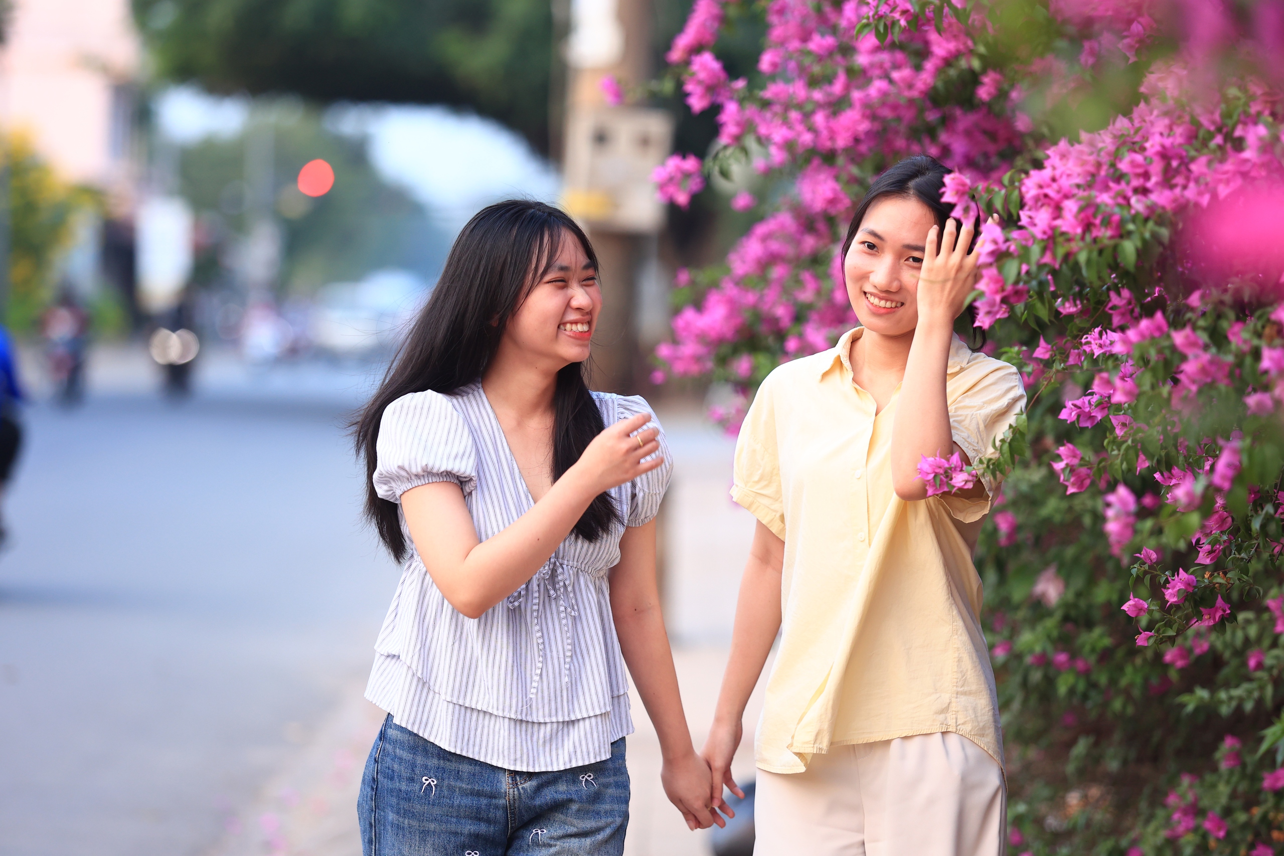 Bụi hoa giấy d&agrave;i gần 100 m ở TP . HCM rực rỡ như th&aacute;c hoa khổng lồ - Ảnh 8.