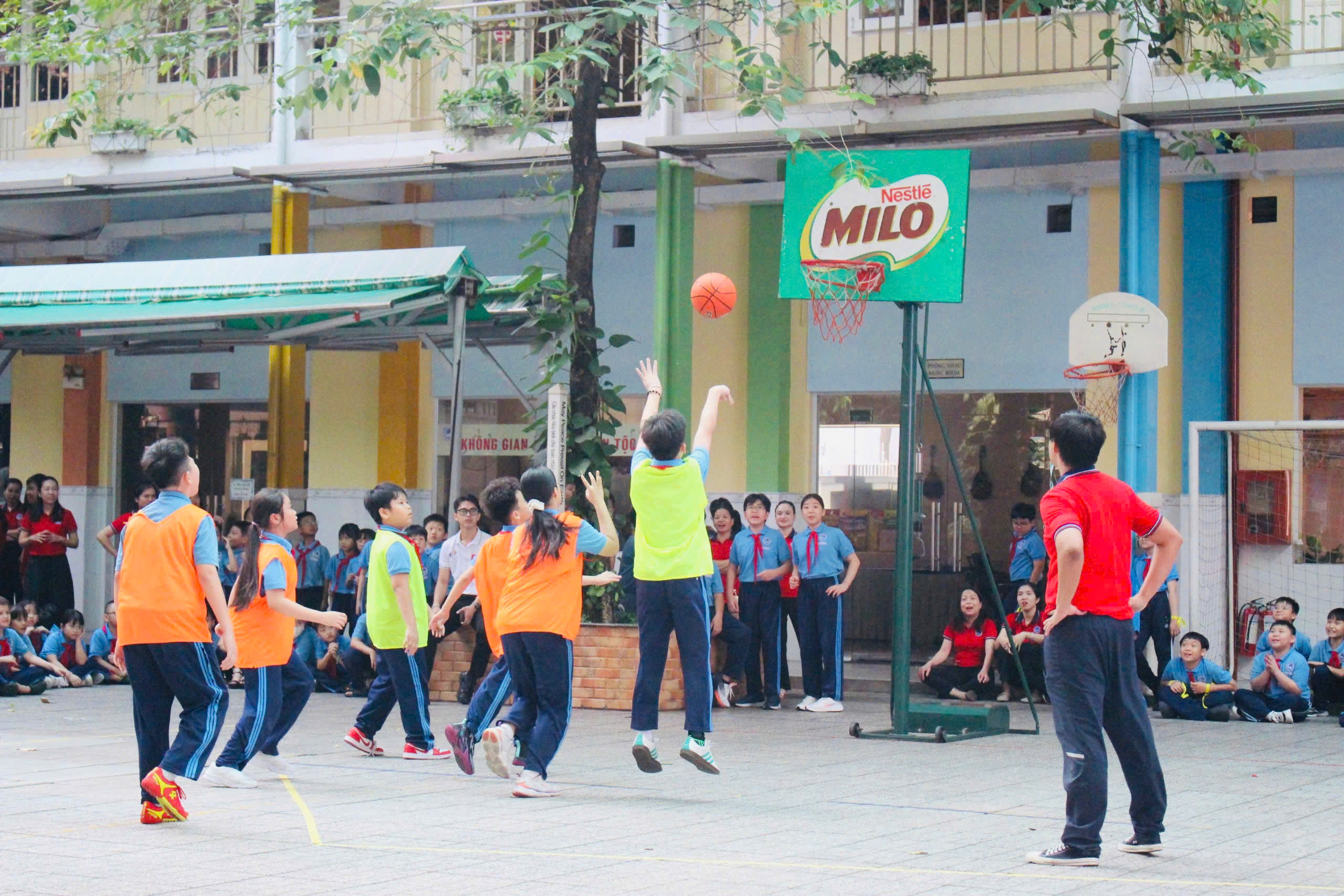 Nhịp sống thể thao trong những trường tiểu học tại TP.HCM - Ảnh 19.