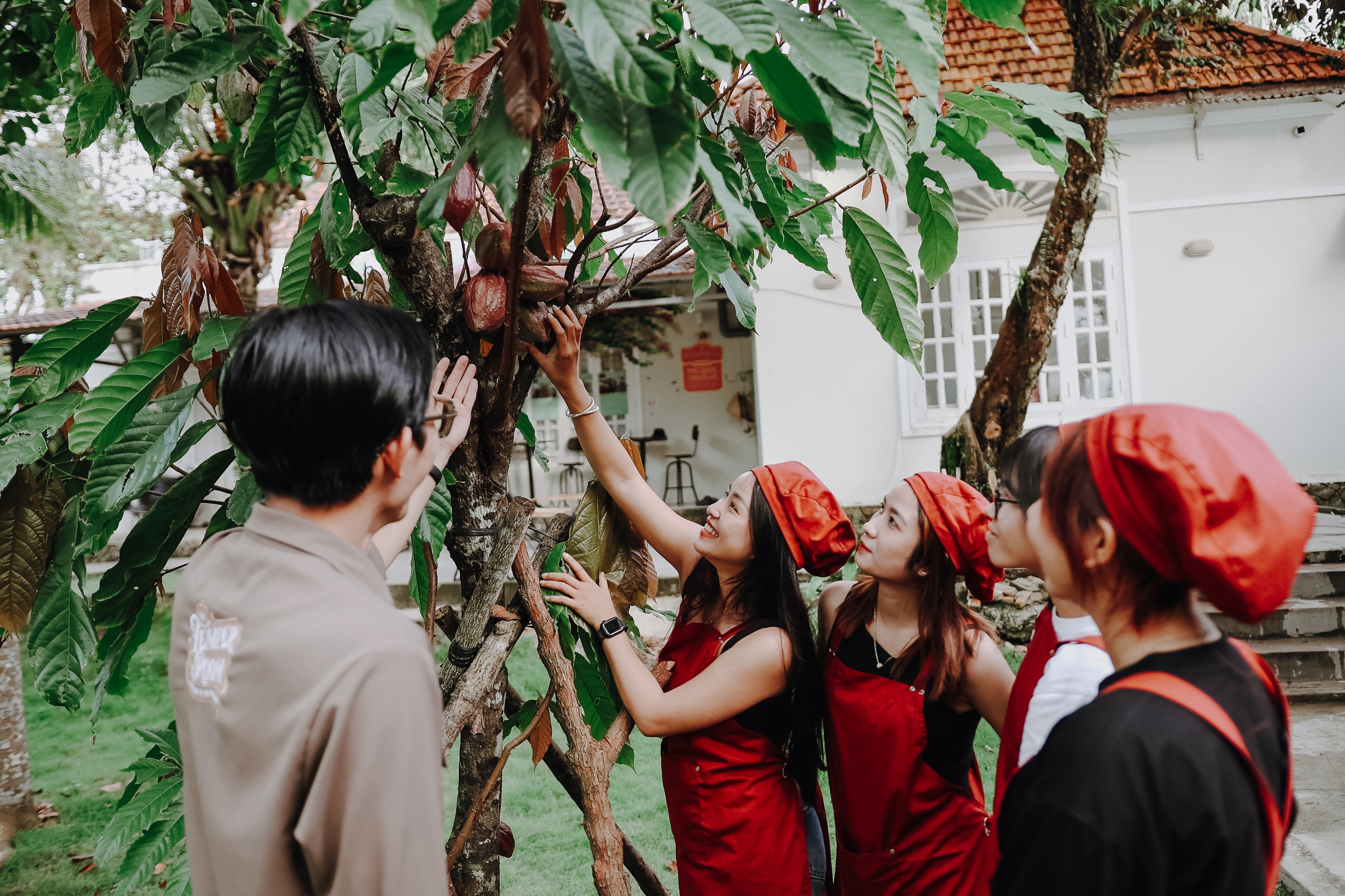 Chỉ với 500 triệu đồng, chàng trai Phú Quốc tạo nên thứ khiến du khách mê mẩn - Ảnh 5.