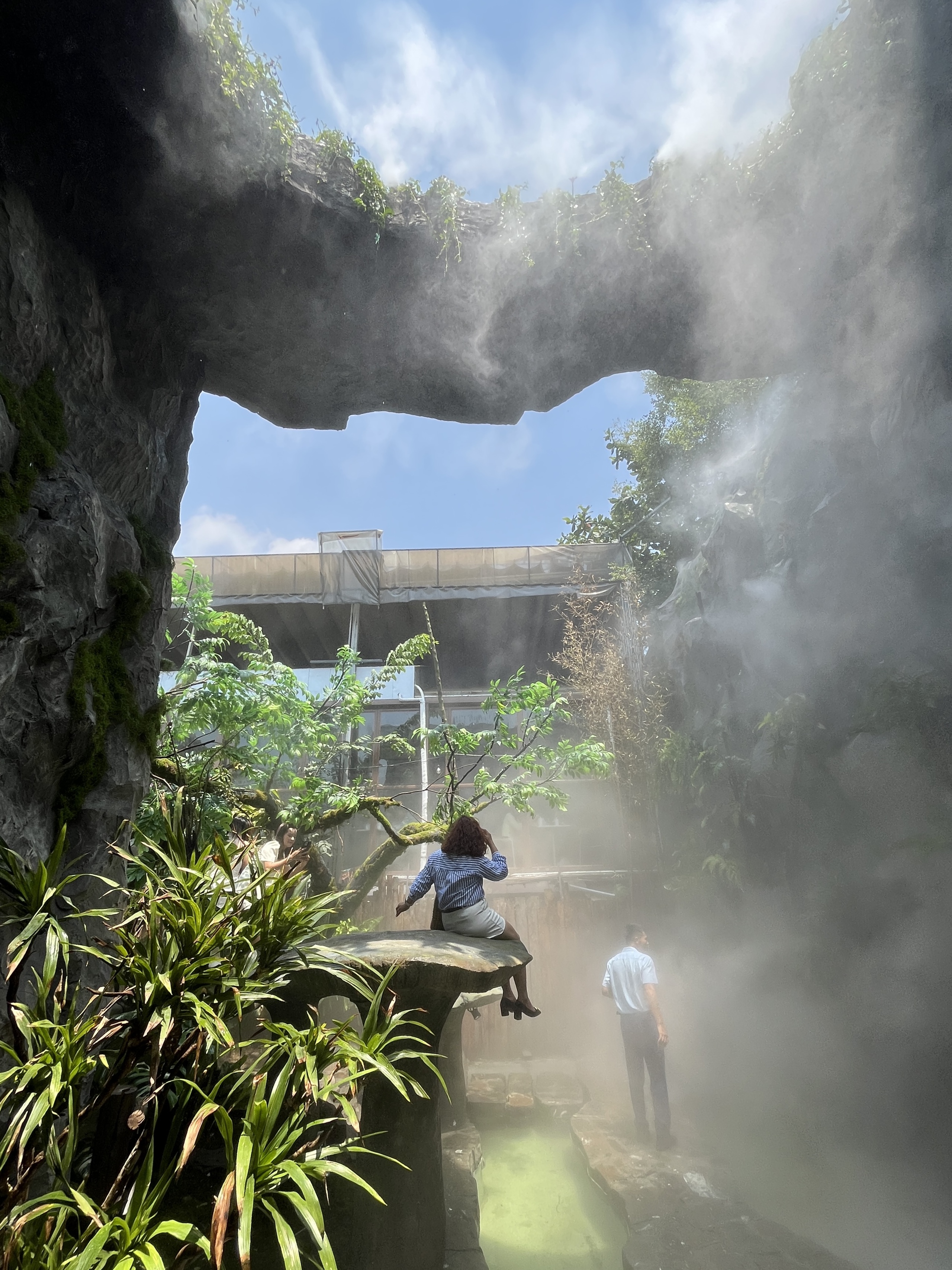 Giới trẻ TP.HCM rủ nhau 'lạc v&agrave;o rừng' tại qu&aacute;n c&agrave; ph&ecirc; rộng hơn 1.000 m&sup2; - Ảnh 1.