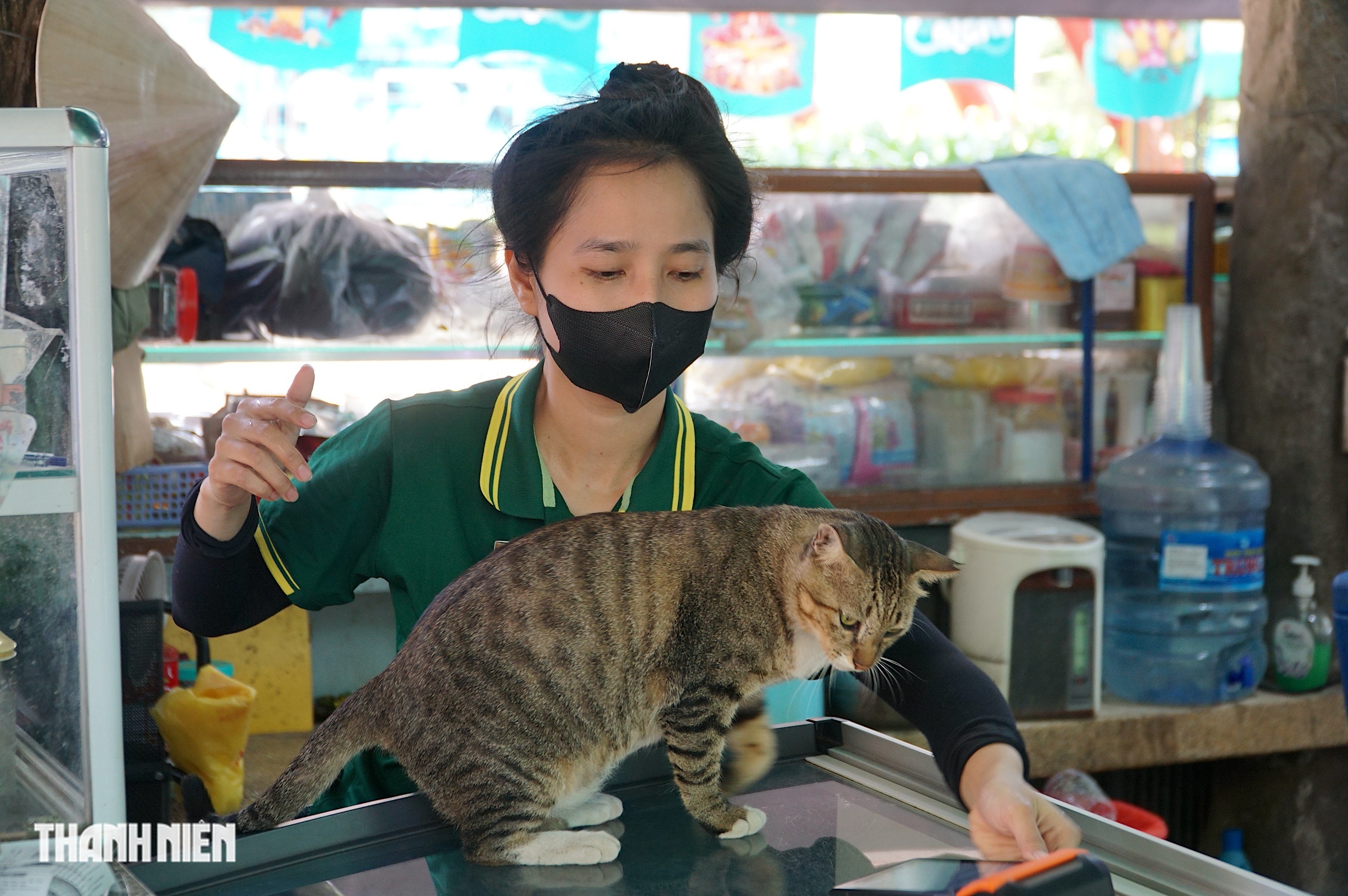 Chuyện h&agrave;ng chục con m&egrave;o hoang &lsquo;kh&ocirc;ng hộ khẩu&rsquo; sống ở Thảo Cầm Vi&ecirc;n - Ảnh 6.