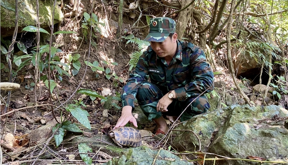 Gần 170 c&aacute; thể động vật hoang d&atilde; được thả về rừng Phong Nha - Kẻ B&agrave;ng- Ảnh 2.