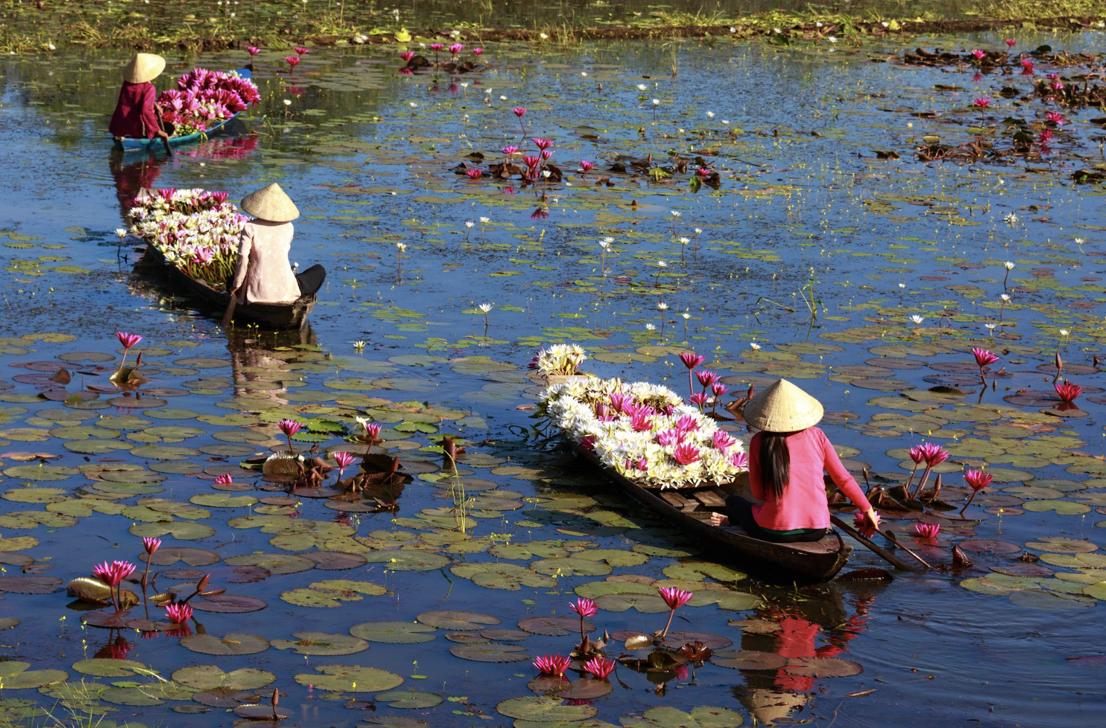 Khách sạn quốc tế đầu tiên Pullman Ninh Bình chính thức khai trương năm 2026 - Ảnh 1.