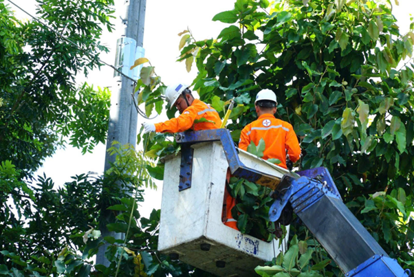 M&agrave;u &aacute;o cam th&acirc;n thương vắt qua c&otilde;i nh&acirc;n sinh - Ảnh 1.