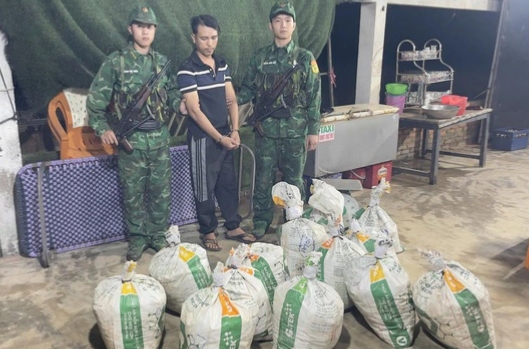 Bắt quả tang gần 400 kg nghi vật liệu nổ vận chuyển tr&aacute;i ph&eacute;p ở Quảng Ng&atilde;i - Ảnh 1.