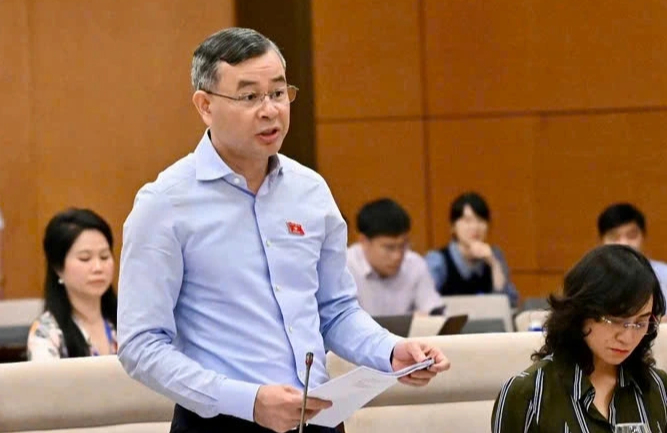 Nguy cơ xe điện nước ngoài giá rẻ tràn vào do kéo dài ưu đãi thuế- Ảnh 1.