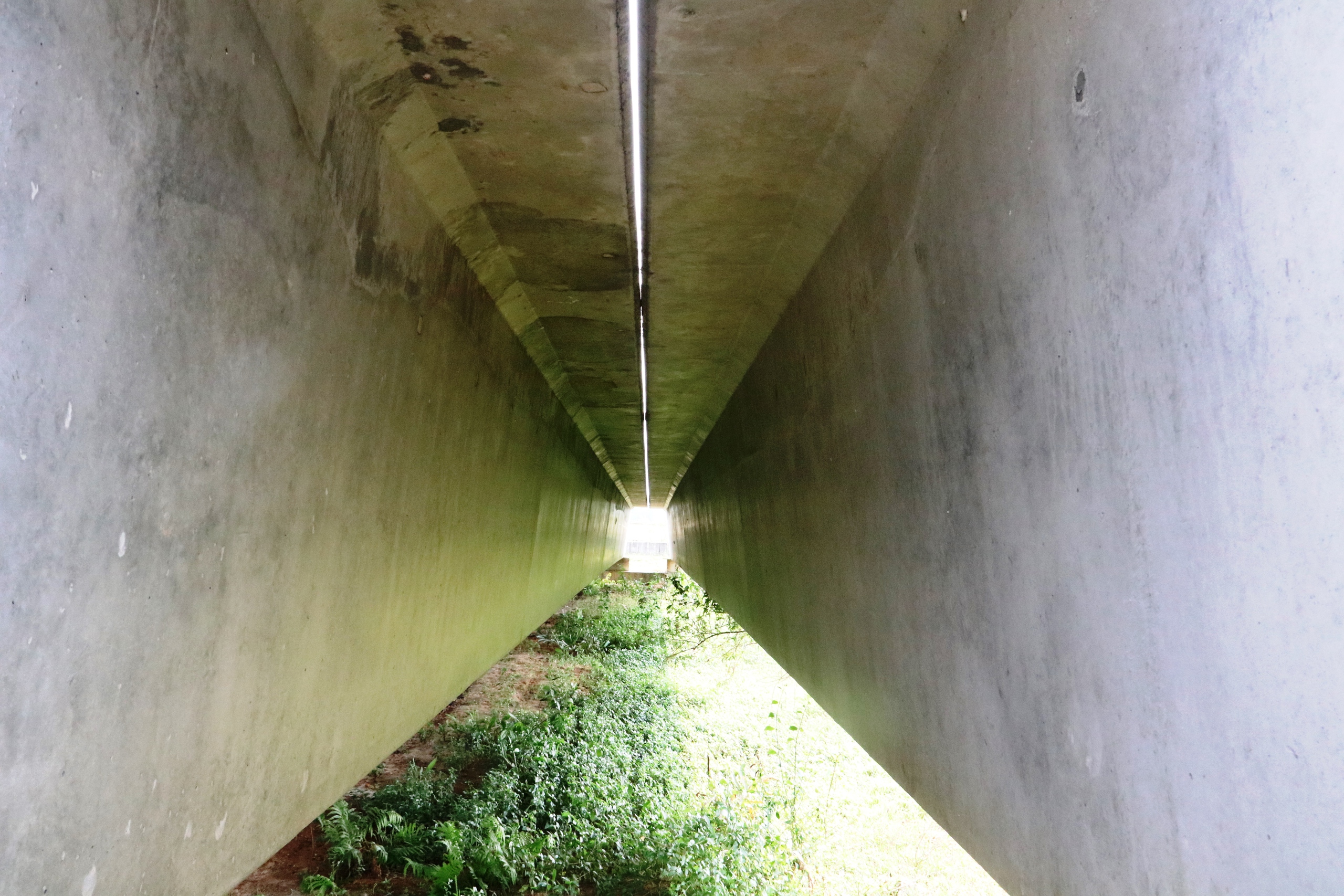 Đ&agrave; Nẵng: Cận cảnh cầu 220 tỉ bắc qua s&ocirc;ng Trường Giang treo gần cả thập ni&ecirc;n - Ảnh 15.