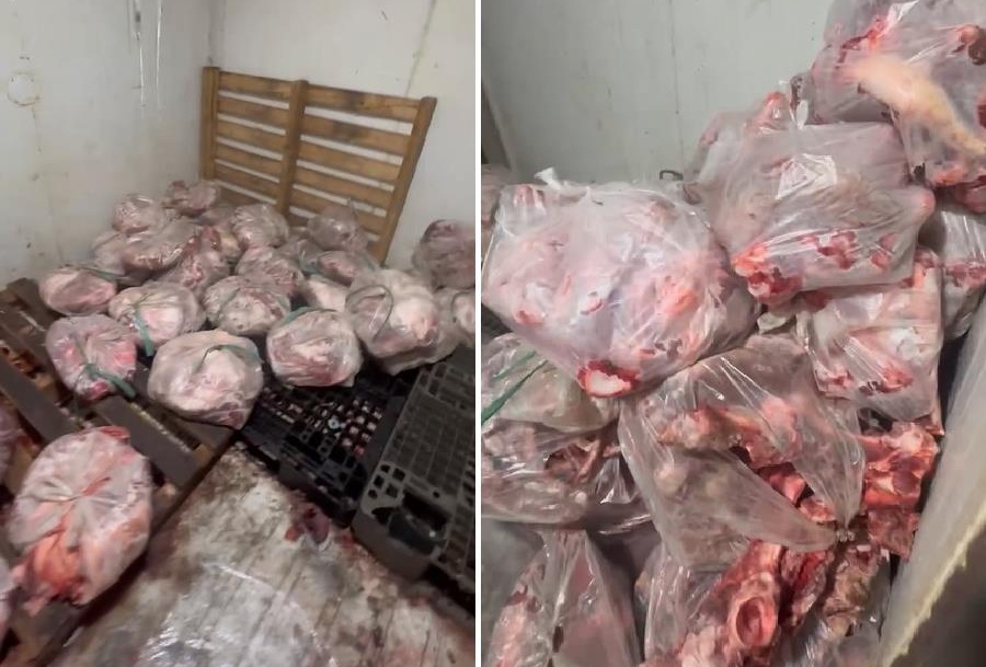 Phát hiện hơn nữa tấn thịt heo bốc mùi ở lò mổ trái phép - Ảnh 1.