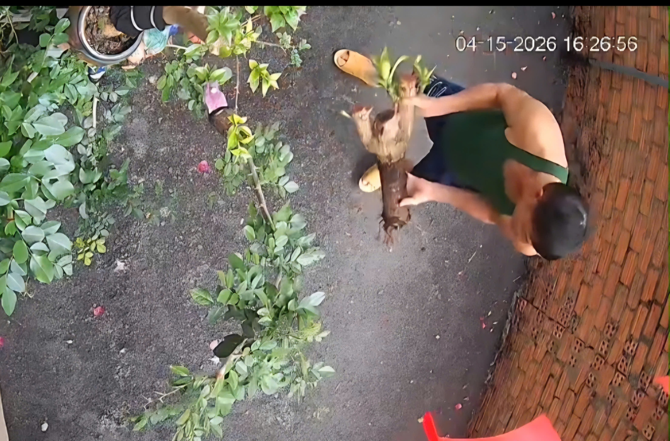 Mâu thuẫn lối đi chung dẫn đến việc đánh hàng xóm tại Bảo Lộc - Ảnh 2.