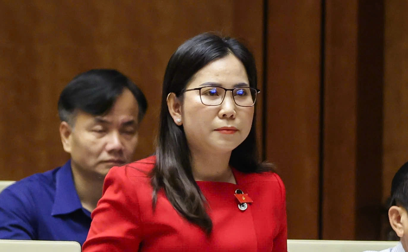 Đại biểu đề nghị ch&iacute;nh s&aacute;ch thuế ưu đ&atilde;i đối với gia đ&igrave;nh nu&ocirc;i con nhỏ - Ảnh 1.