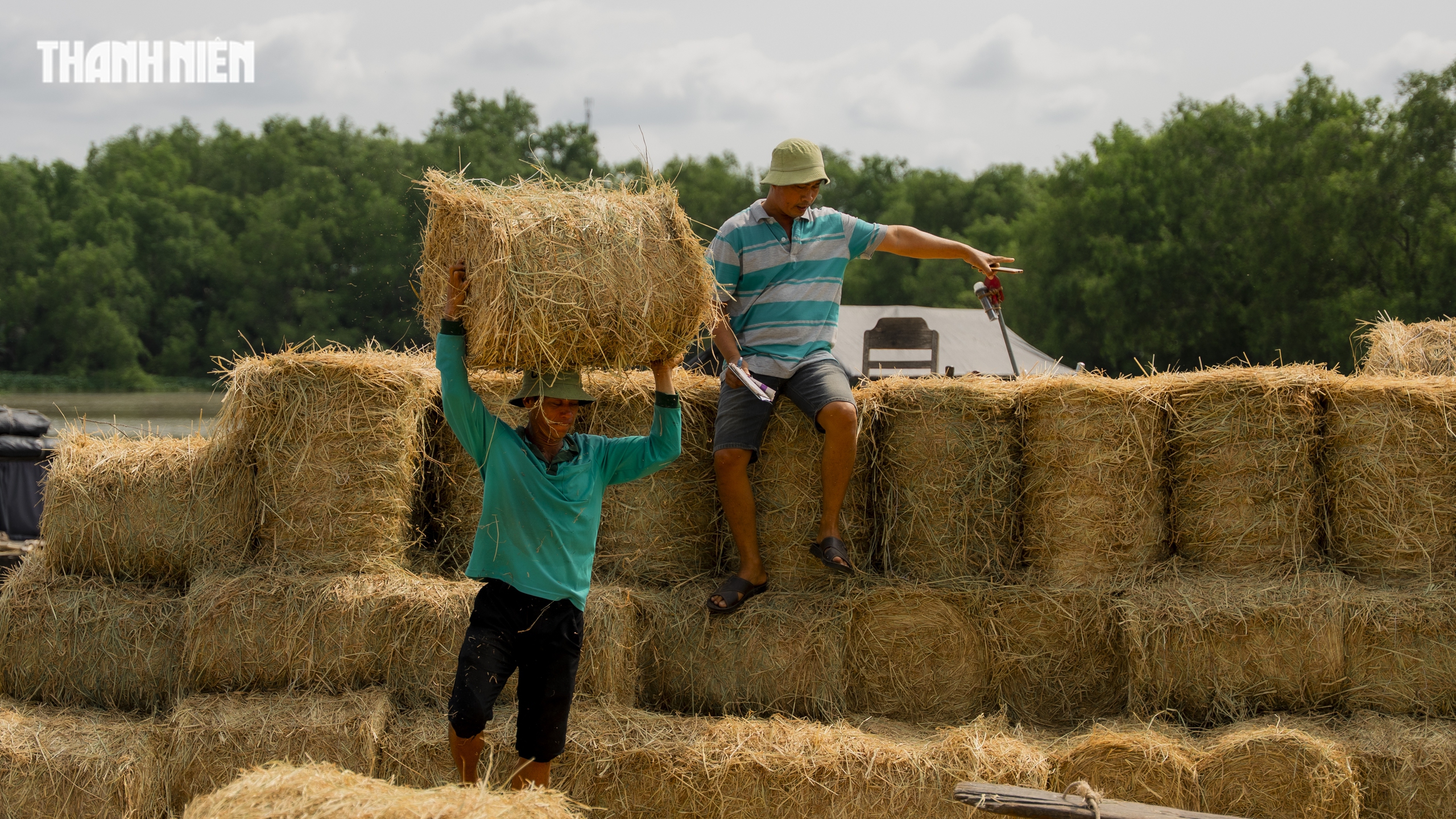 Chợ rơm cuộn Ba Lai: Nơi giao thương Nhộn nhịp v&agrave; Nụ cười Giữa nắng h&egrave; - Ảnh 8.