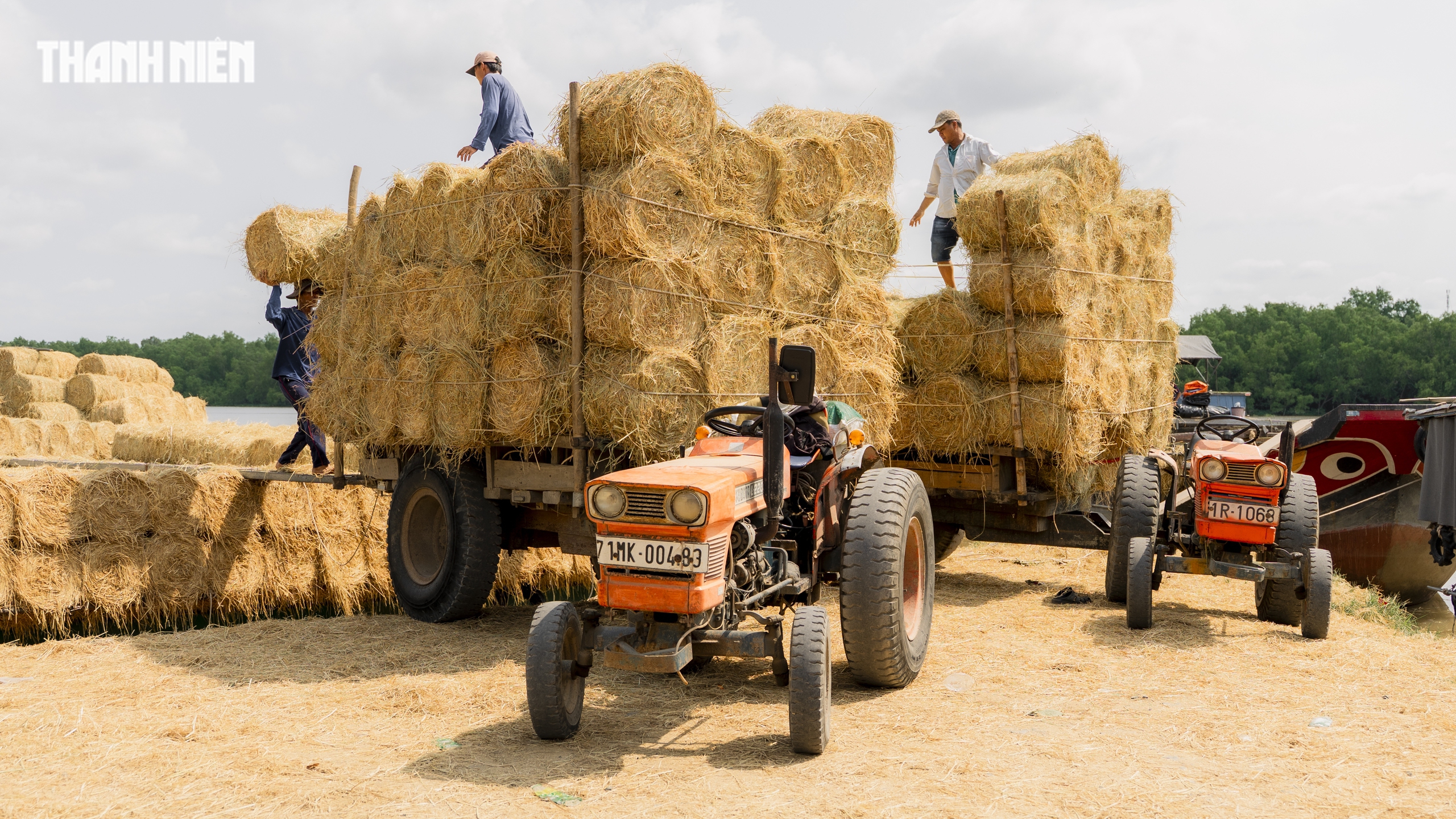 Chợ rơm cuộn Ba Lai: Nơi giao thương Nhộn nhịp v&agrave; Nụ cười Giữa nắng h&egrave; - Ảnh 12.
