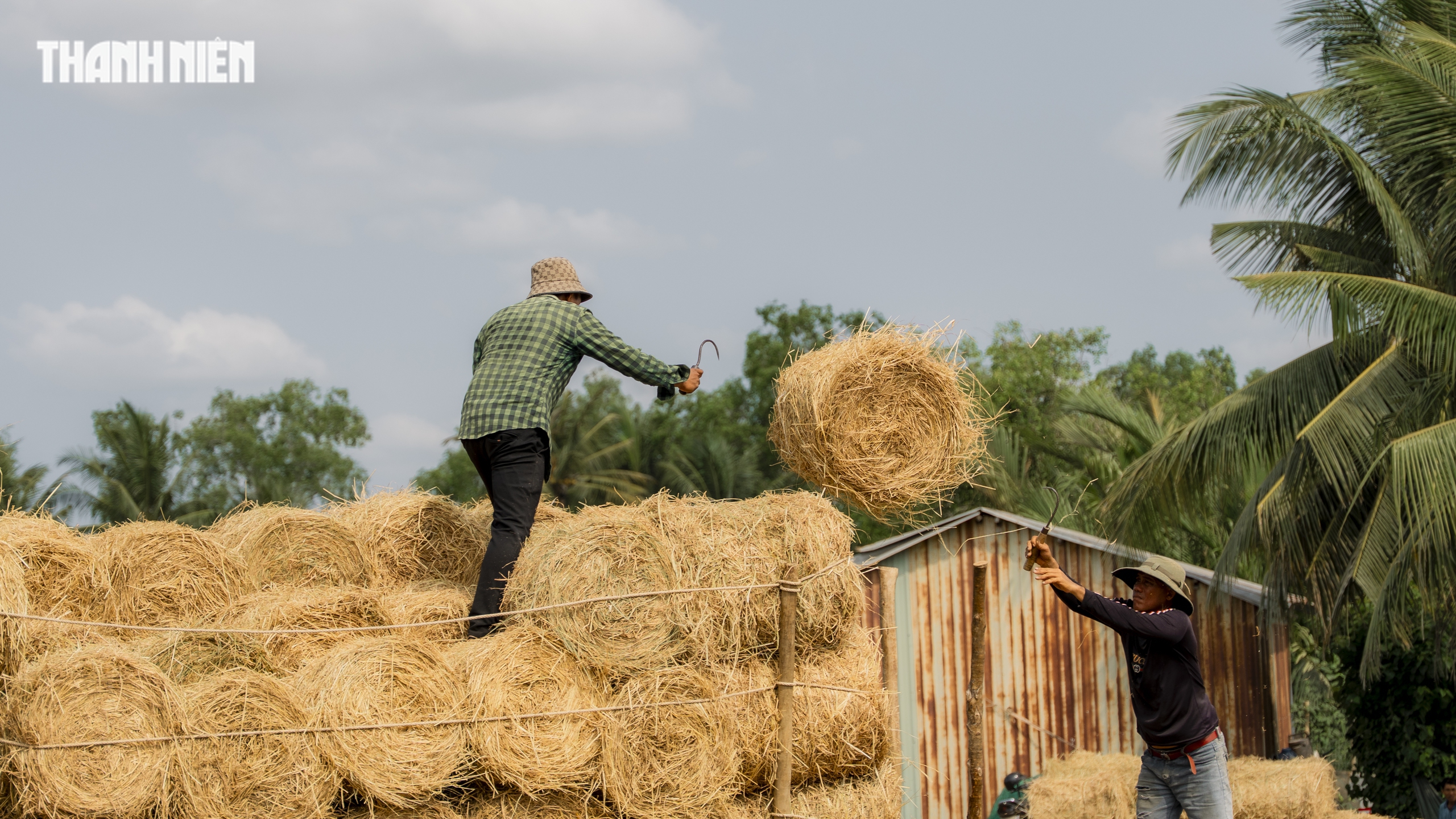 Chợ rơm cuộn Ba Lai: Nơi giao thương Nhộn nhịp v&agrave; Nụ cười Giữa nắng h&egrave; - Ảnh 5.