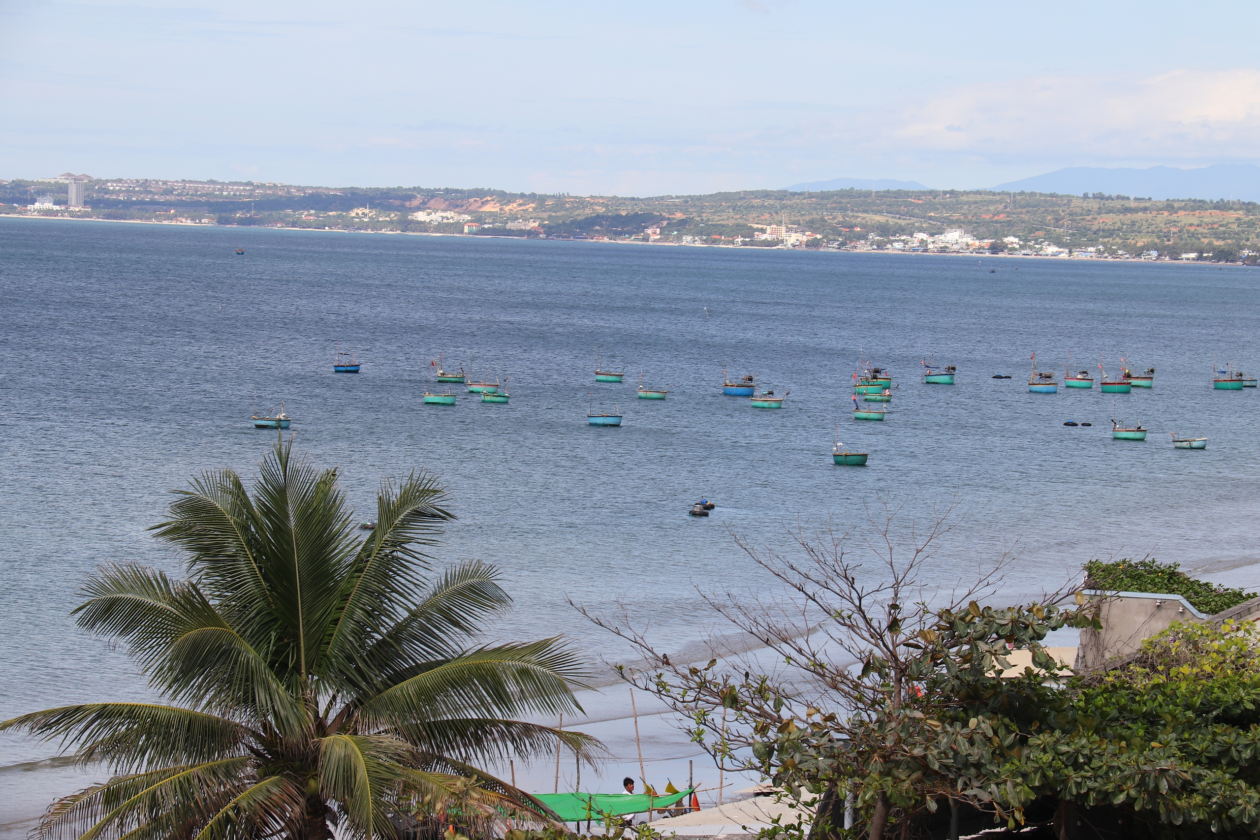 Chồng lấn điện gió ngoài khơi: Lỗ hổng điều phối, nguy cơ lãng phí tài nguyên biển - Ảnh 2.