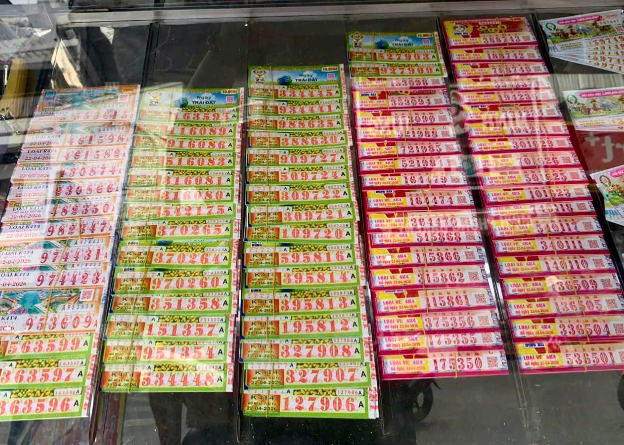 Chuyên gia: 'Cần lập quỹ an sinh cho người bán vé số dạo'- Ảnh 3.