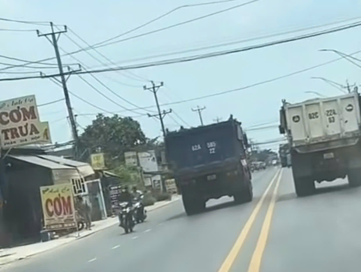 Xử phạt tài xế lái xe tải đi ngược chiều trên tỉnh lộ ở Tây Ninh- Ảnh 1.