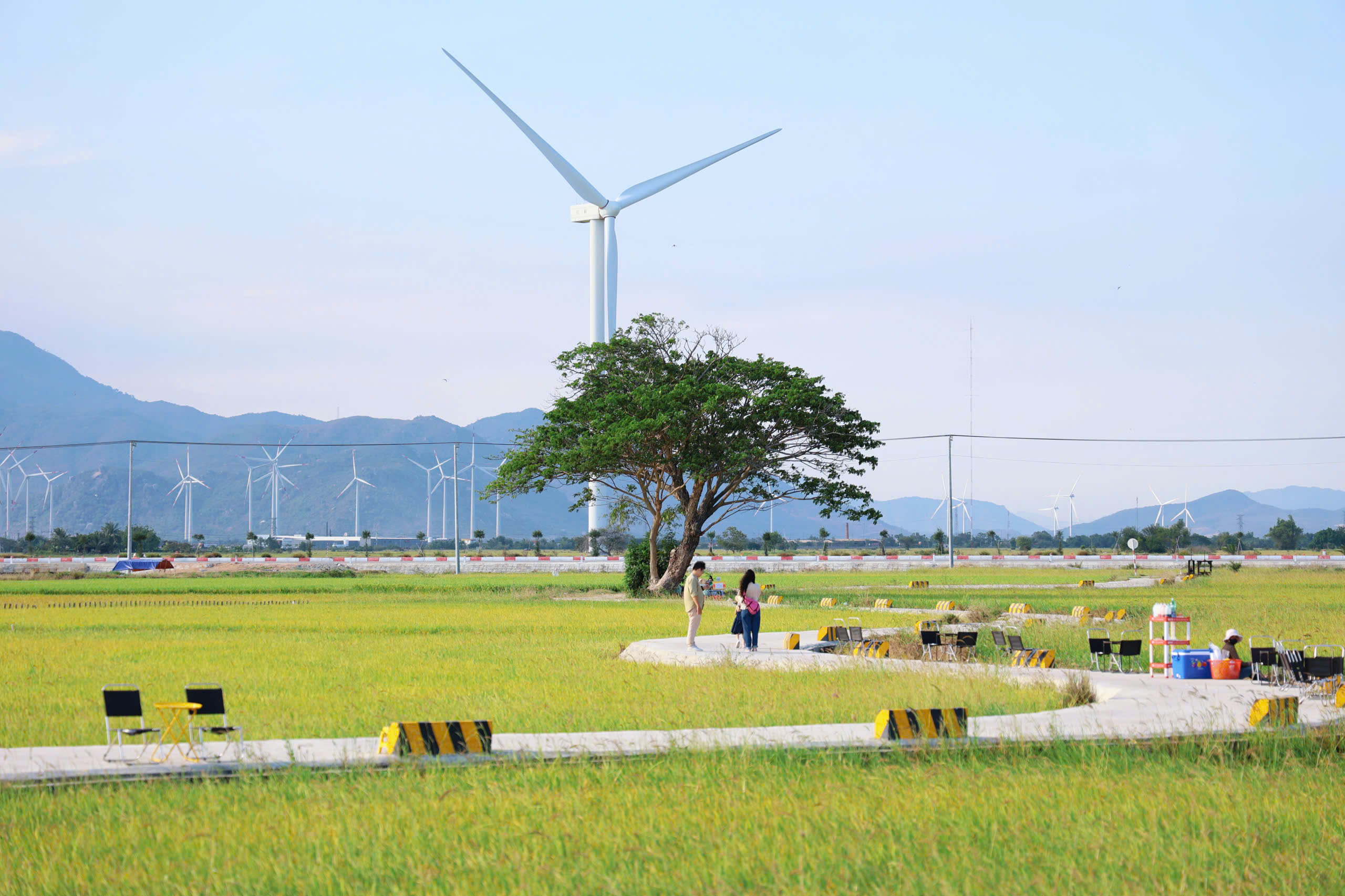 Cánh đồng điện gió đẹp như tranh vẽ tại Khánh Hòa - Ảnh 7.