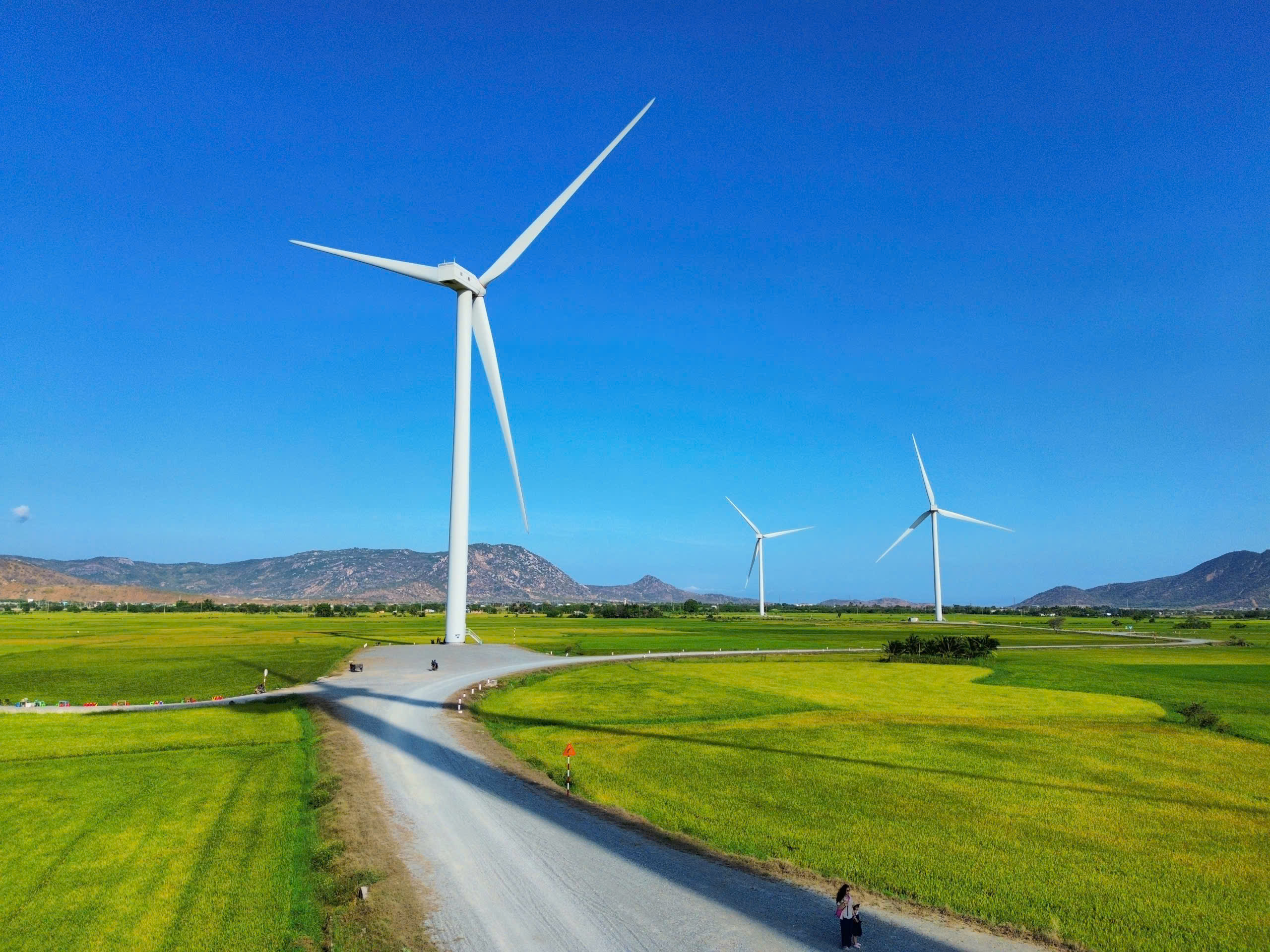 Cánh đồng điện gió đẹp như tranh vẽ tại Khánh Hòa - Ảnh 2.